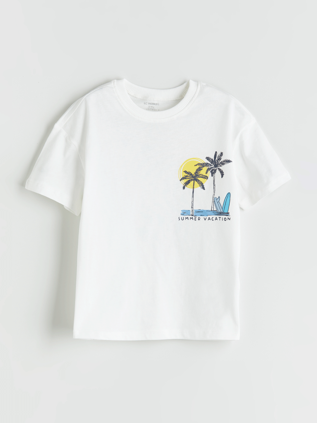 Crew Neck Printed Boys' T-Shirt-1