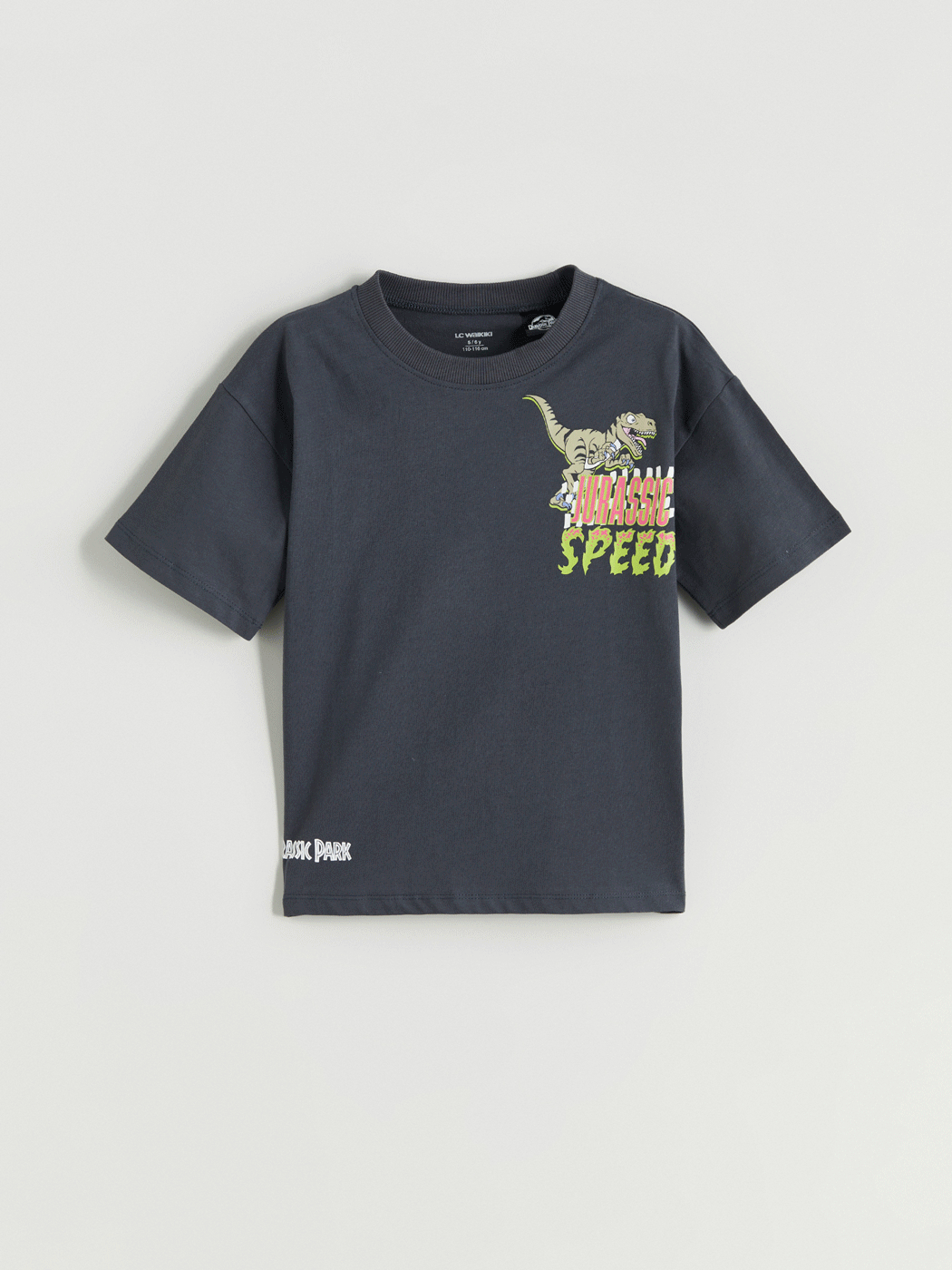 Antrasit Dinozor Baskılı Erkek Çocuk Tişört