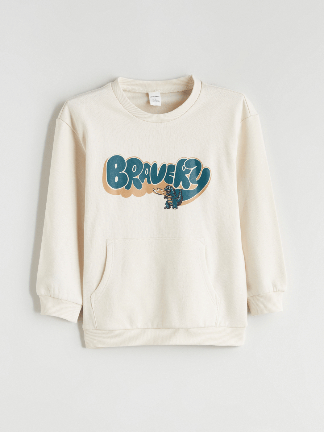 Crew Neck Printed Boys' Sweatshirt-1