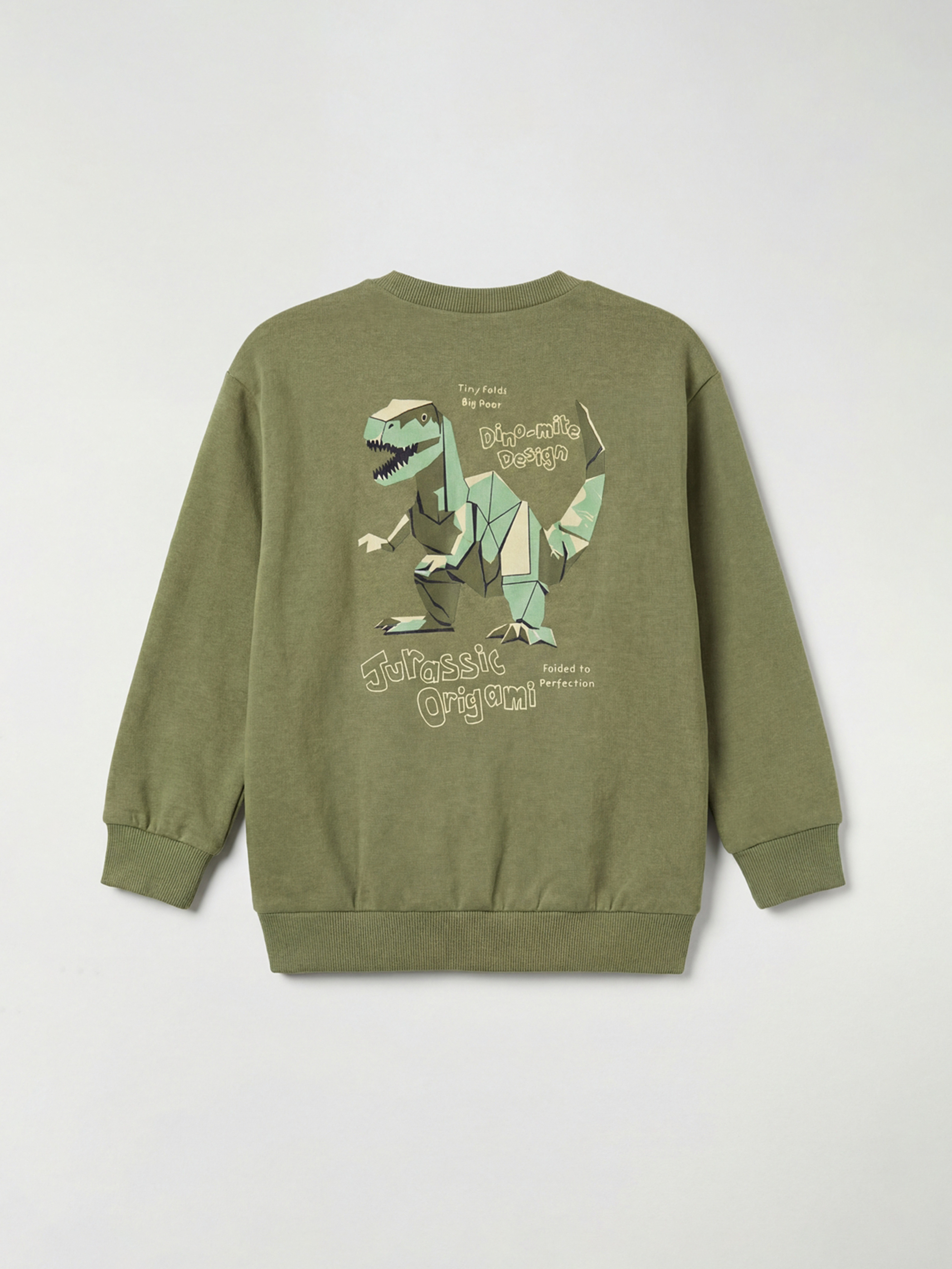 Crew Neck Printed Baby Boy Sweatshirt-1