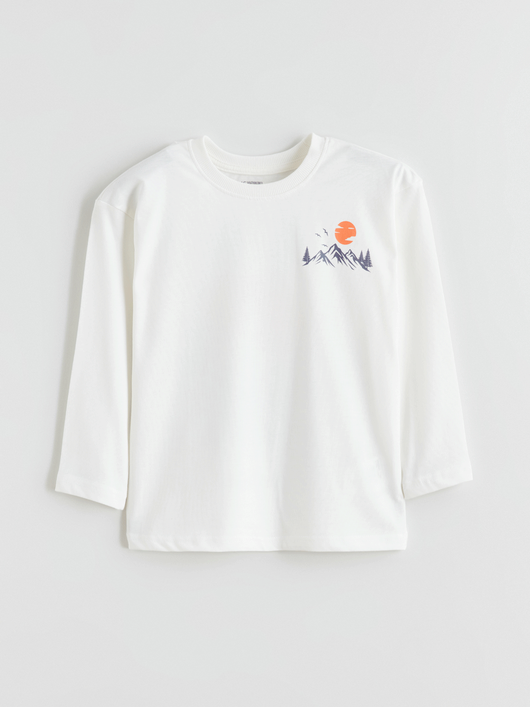 LCW Kids Crew Neck Printed Boys' T-Shirt - W5EC66Z1-FDU