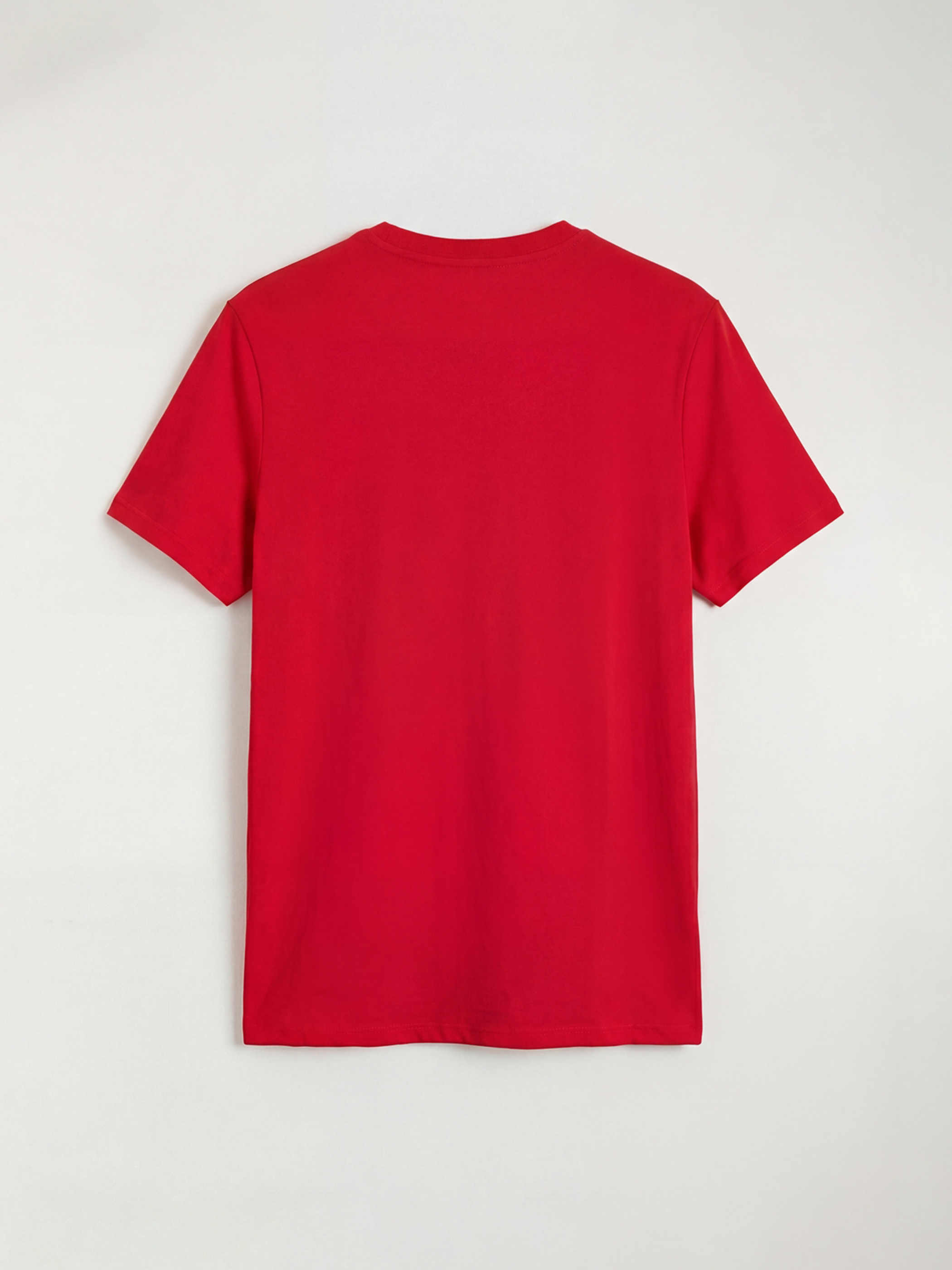 Men's Crew Neck Printed Jersey T-shirt-1
