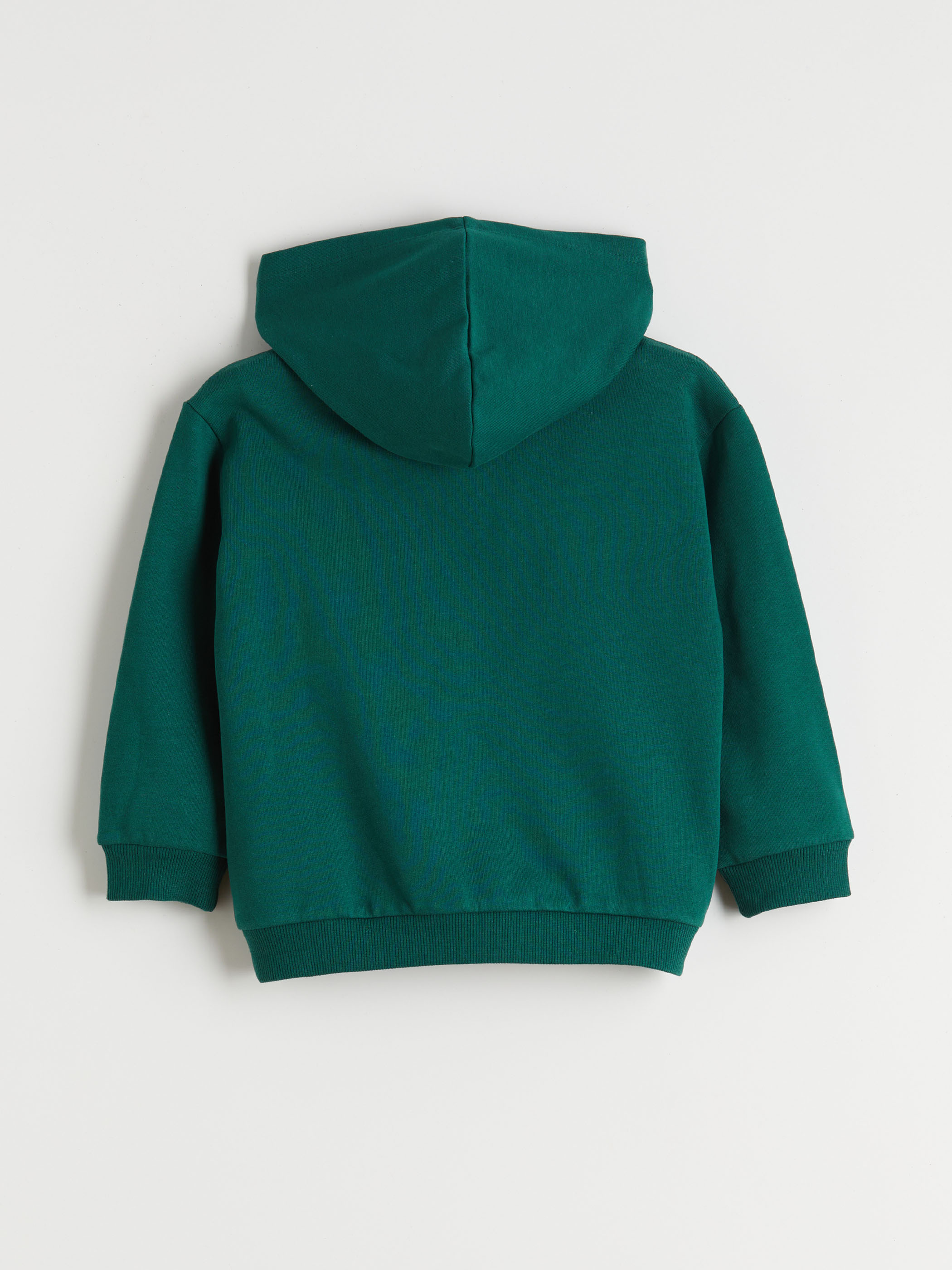 Yeşil Erkek Çocuk Kalın Sweatshirt-1