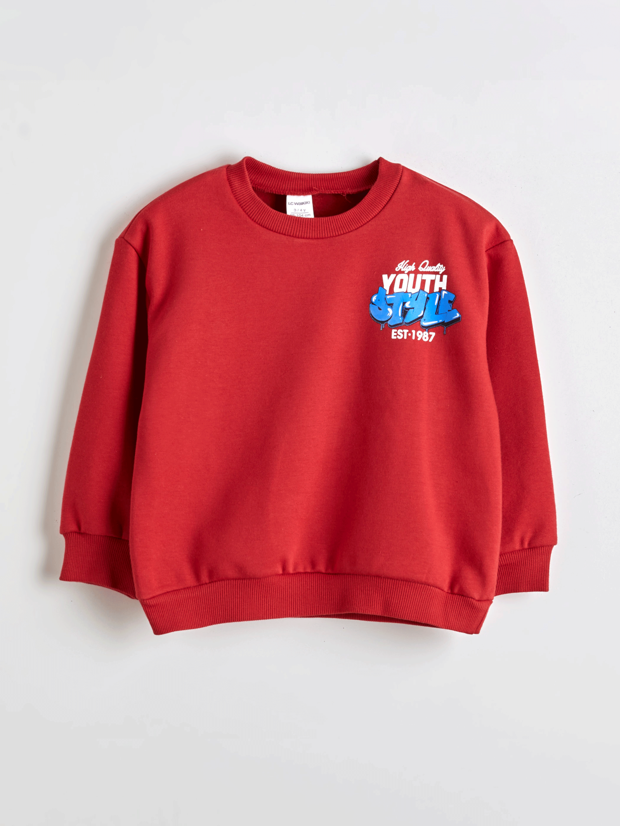 Sweat-shirt Épais Imprimé pour Garçons-1