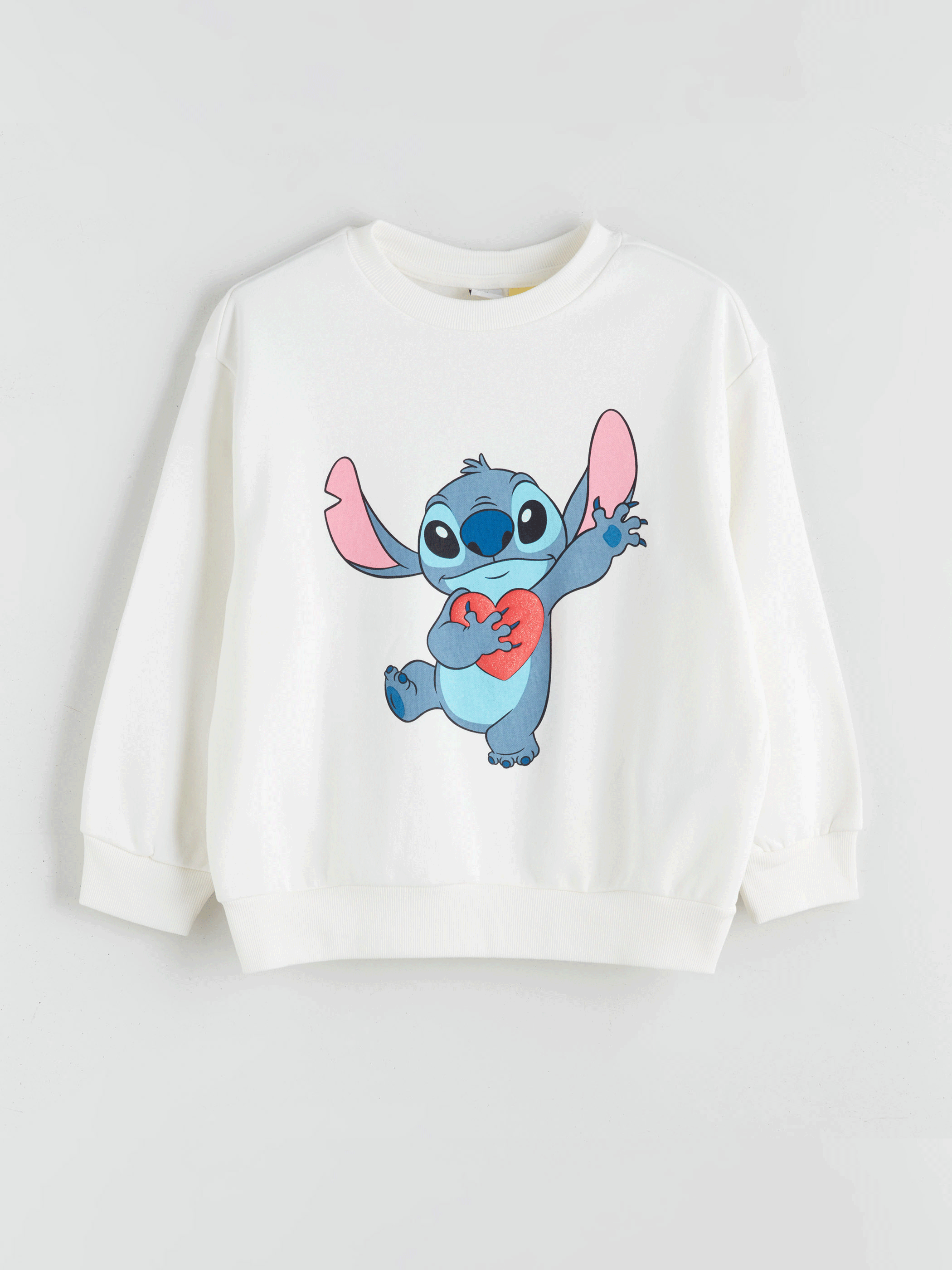 Crew Neck Stitch Printed Girls' Thick Sweatshirt-1