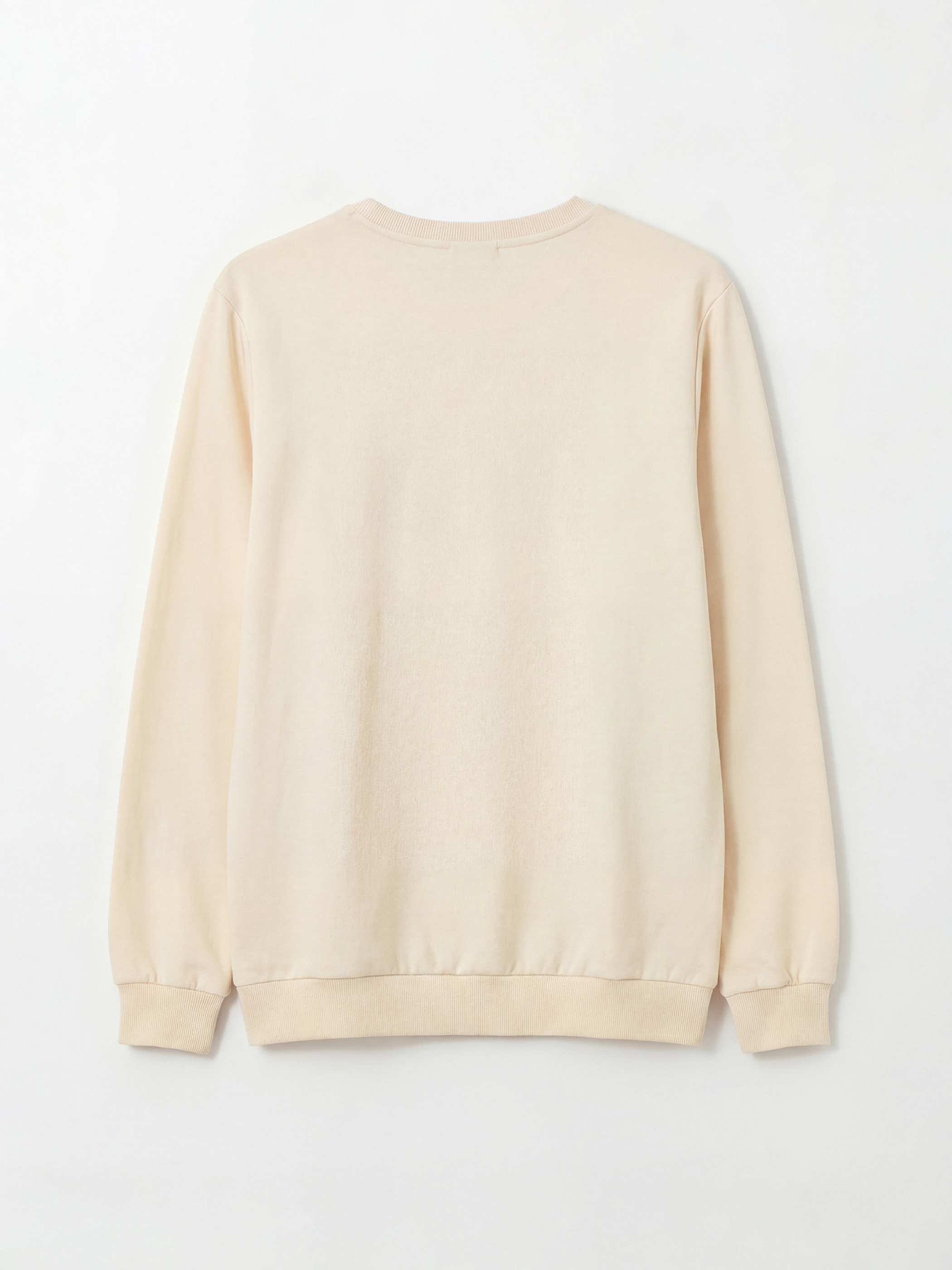 Man BEIGE Sweatshirt-1
