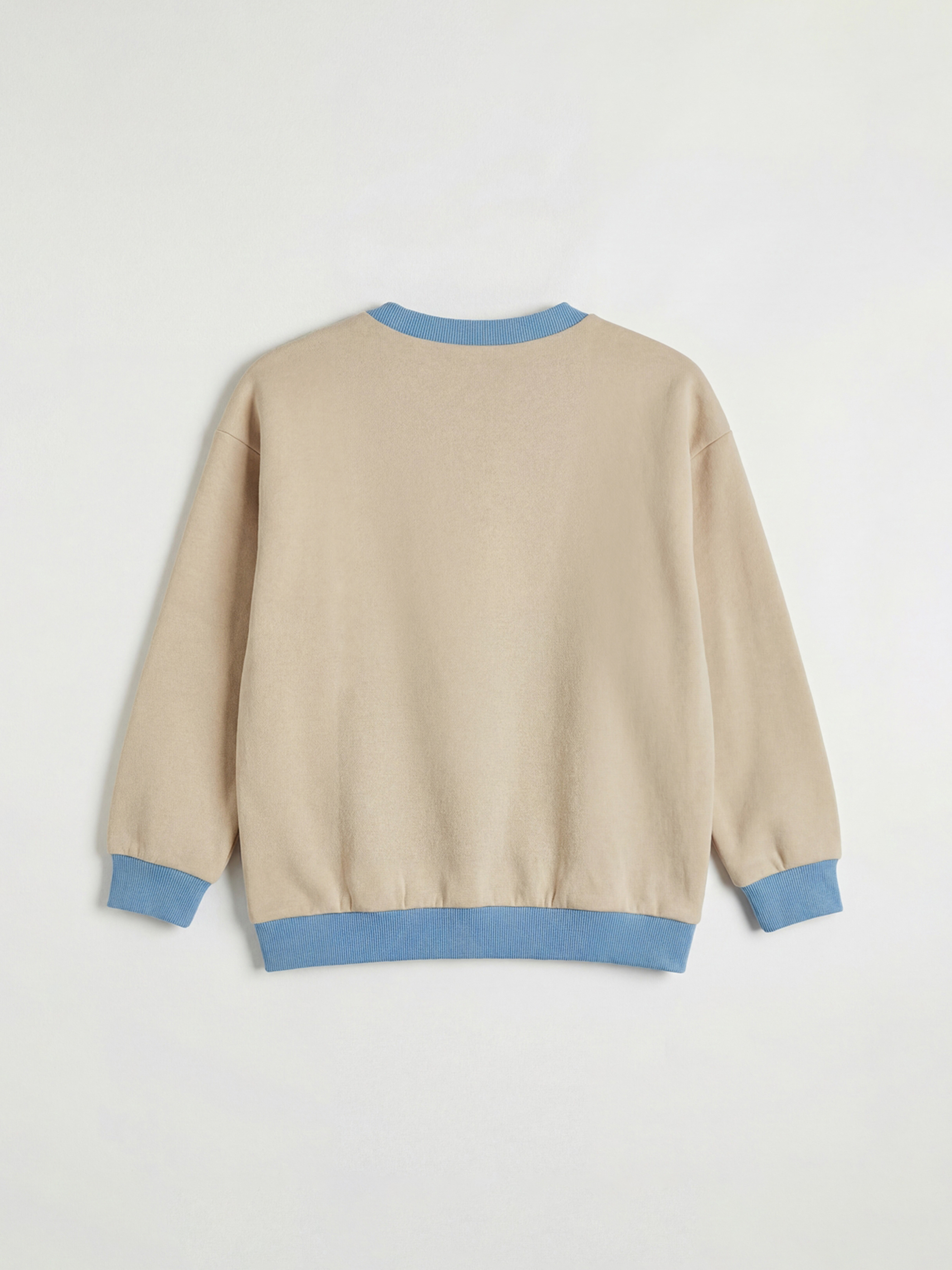 ბეჭდური ბიჭების სვიტერი-1