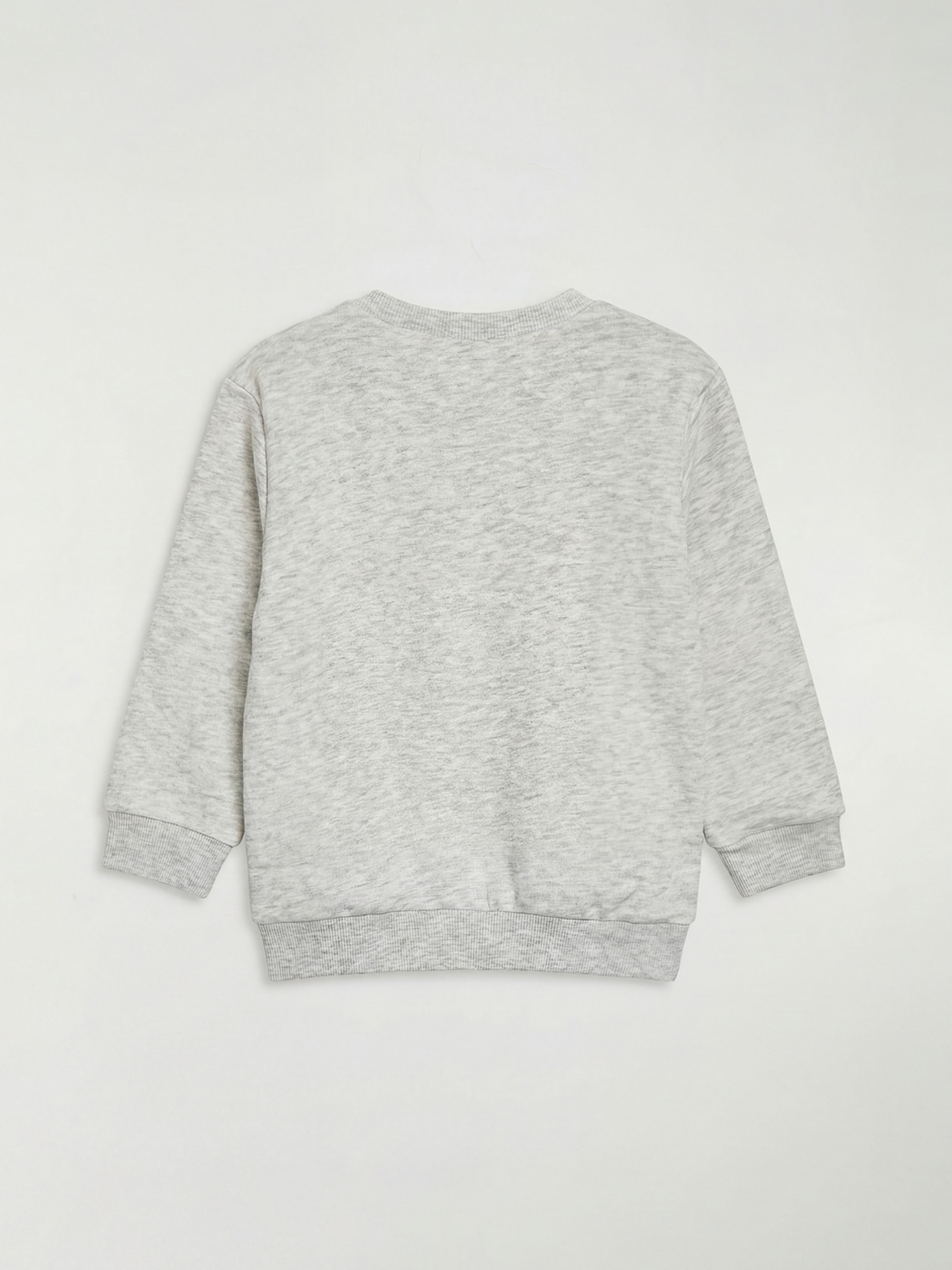 Crew Neck Printed Boys' Sweatshirt-1