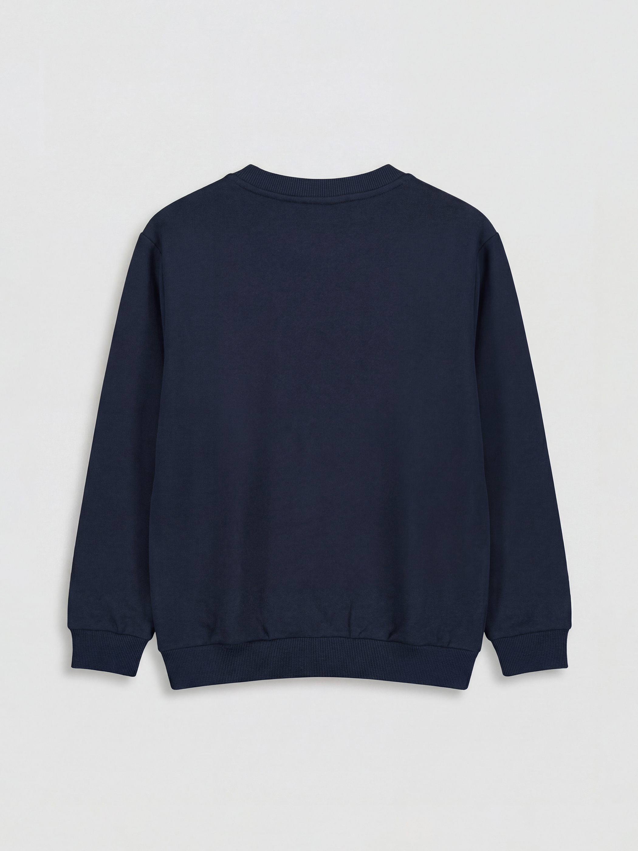 Dinosaur Print Boys' Sweatshirt-1