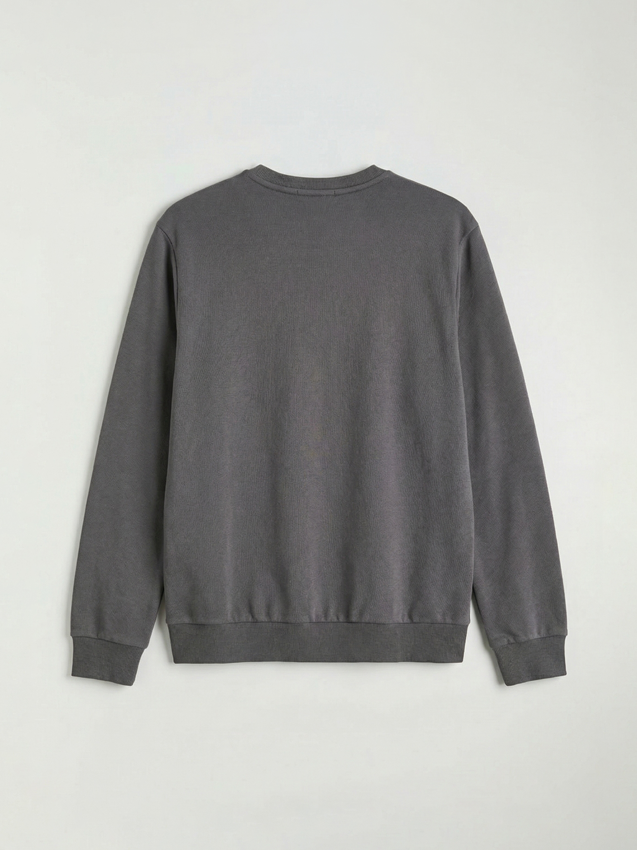 Crew Neck Printed Men's Sweatshirt-1