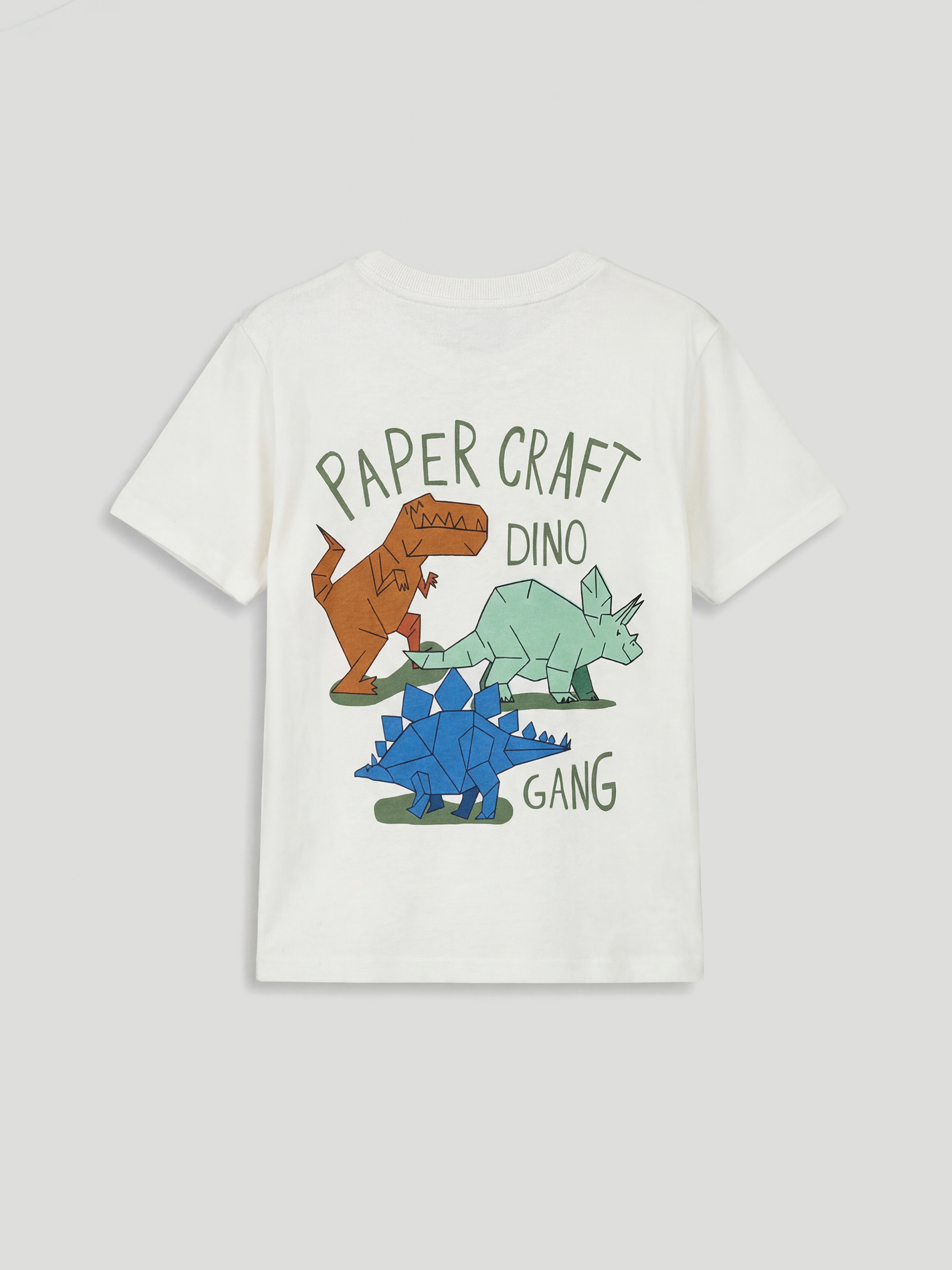 Dinosaur Printed Boys' T-shirt 3 Pack-4