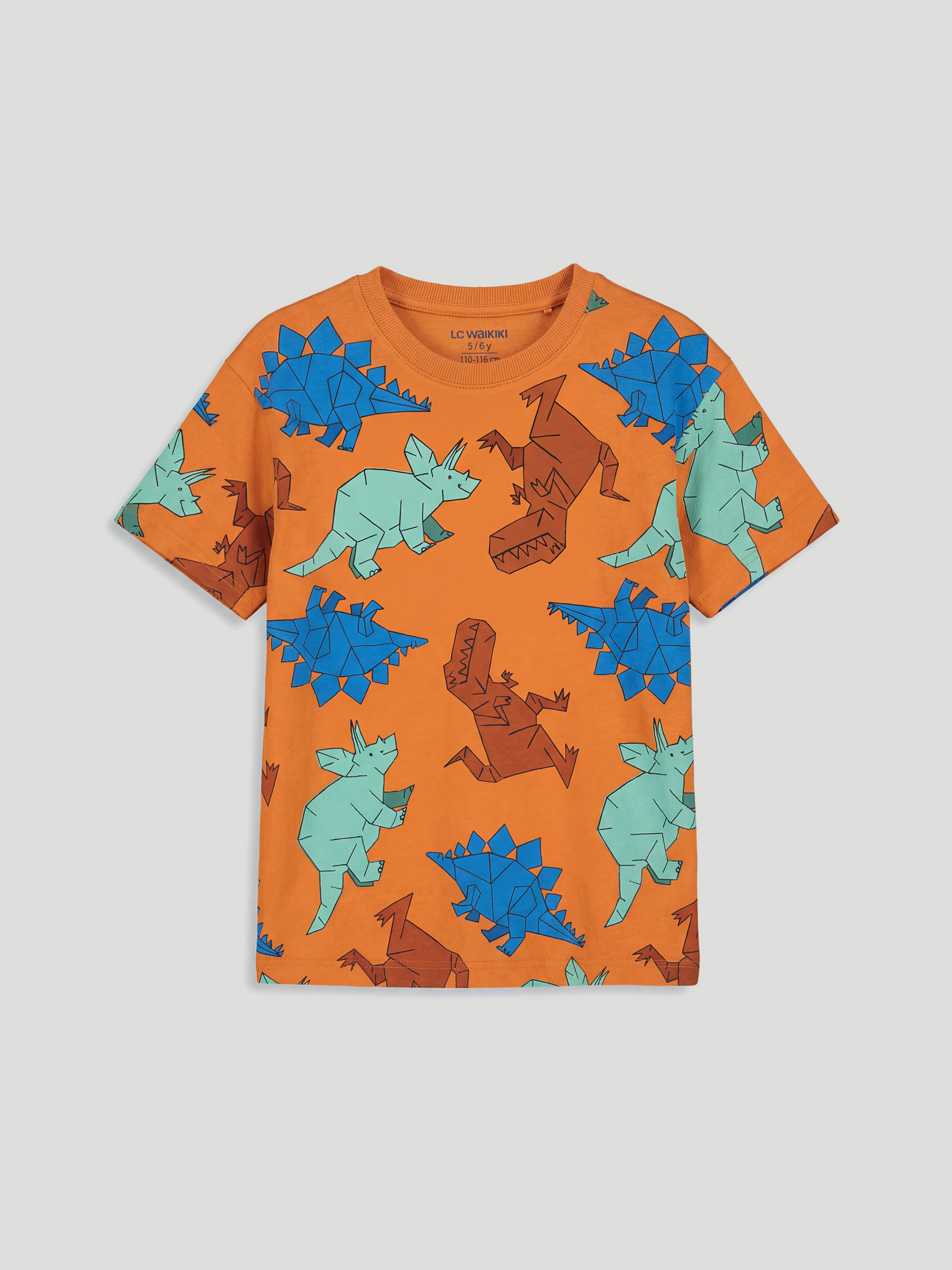 Dinosaur Printed Boys' T-shirt 3 Pack-5