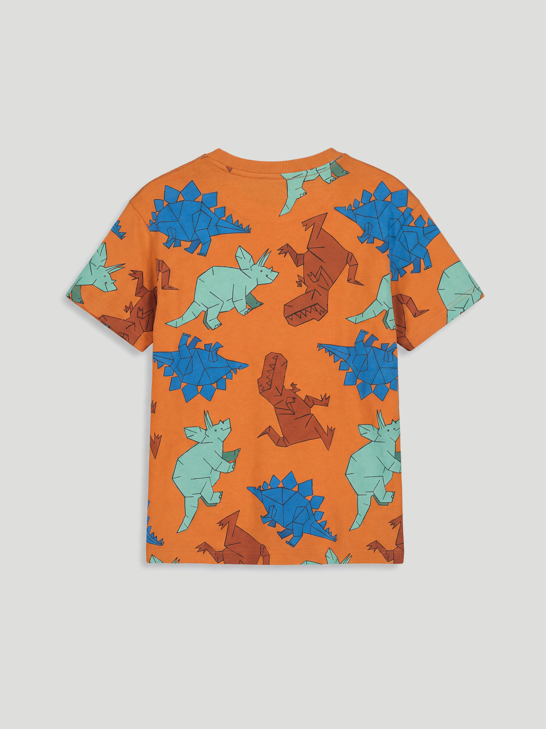 Dinosaur Printed Boys' T-shirt 3 Pack-6