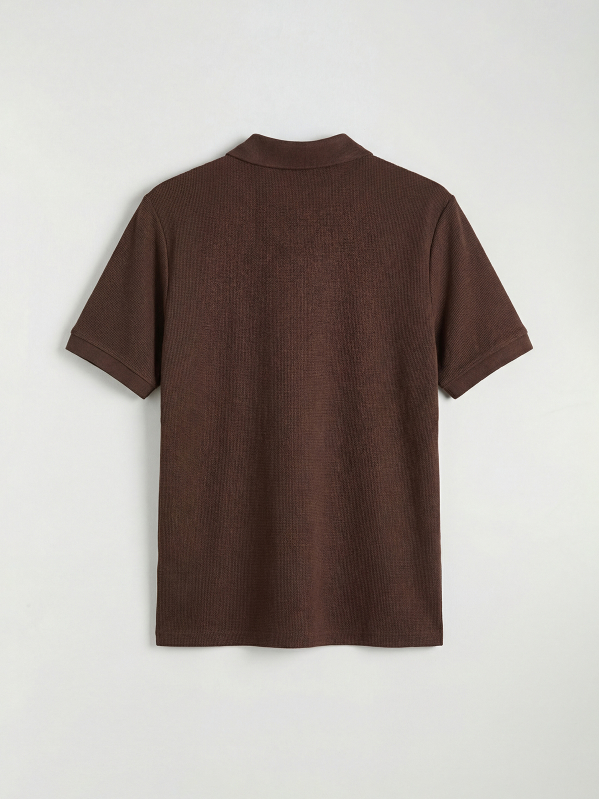 პოლო მაისური მამაკაცებისთვის-5