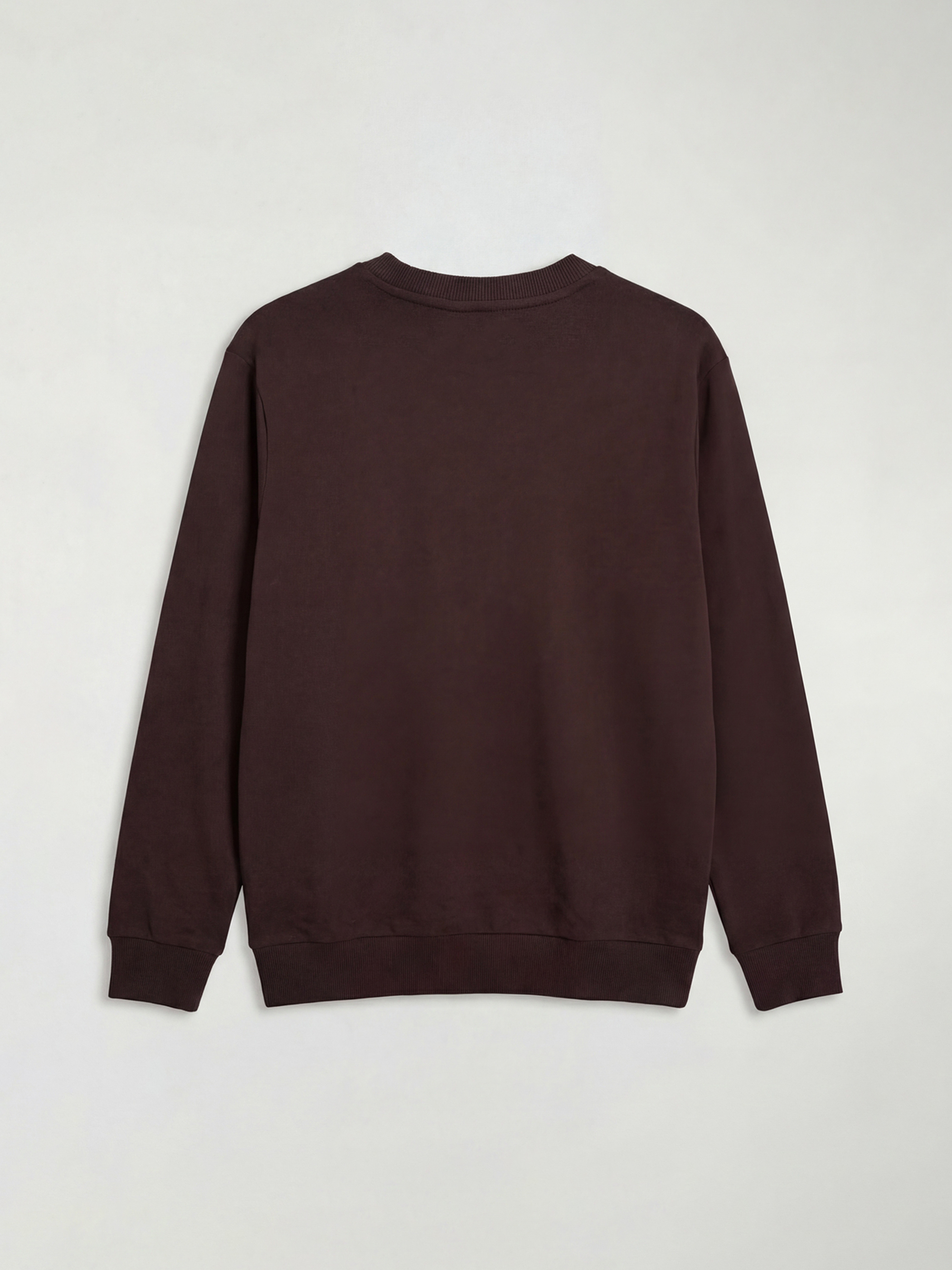 Crew Neck Long Sleeve Men's Sweatshirt-1