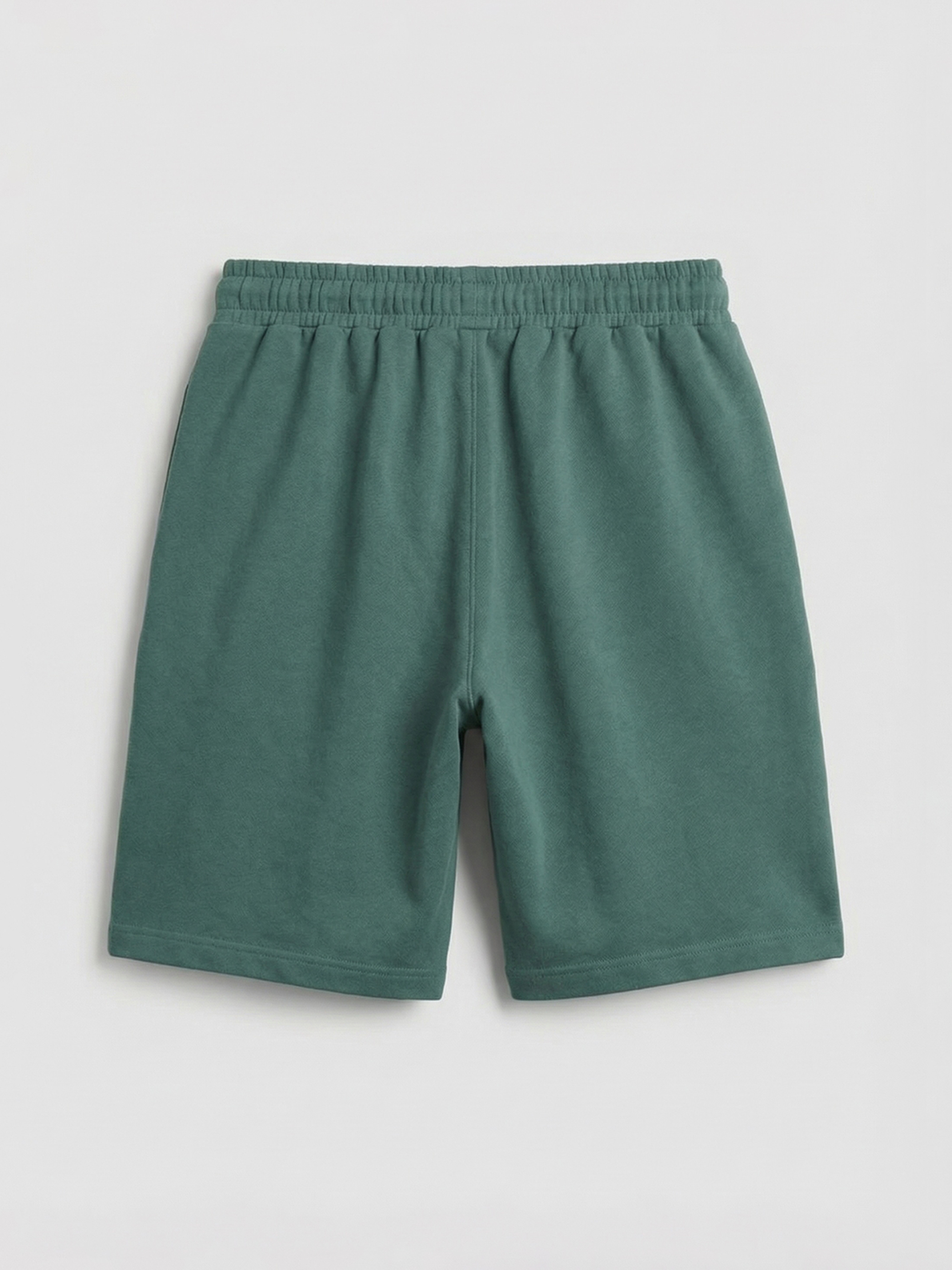 Petrol Standart Kalıp Erkek Şort-5