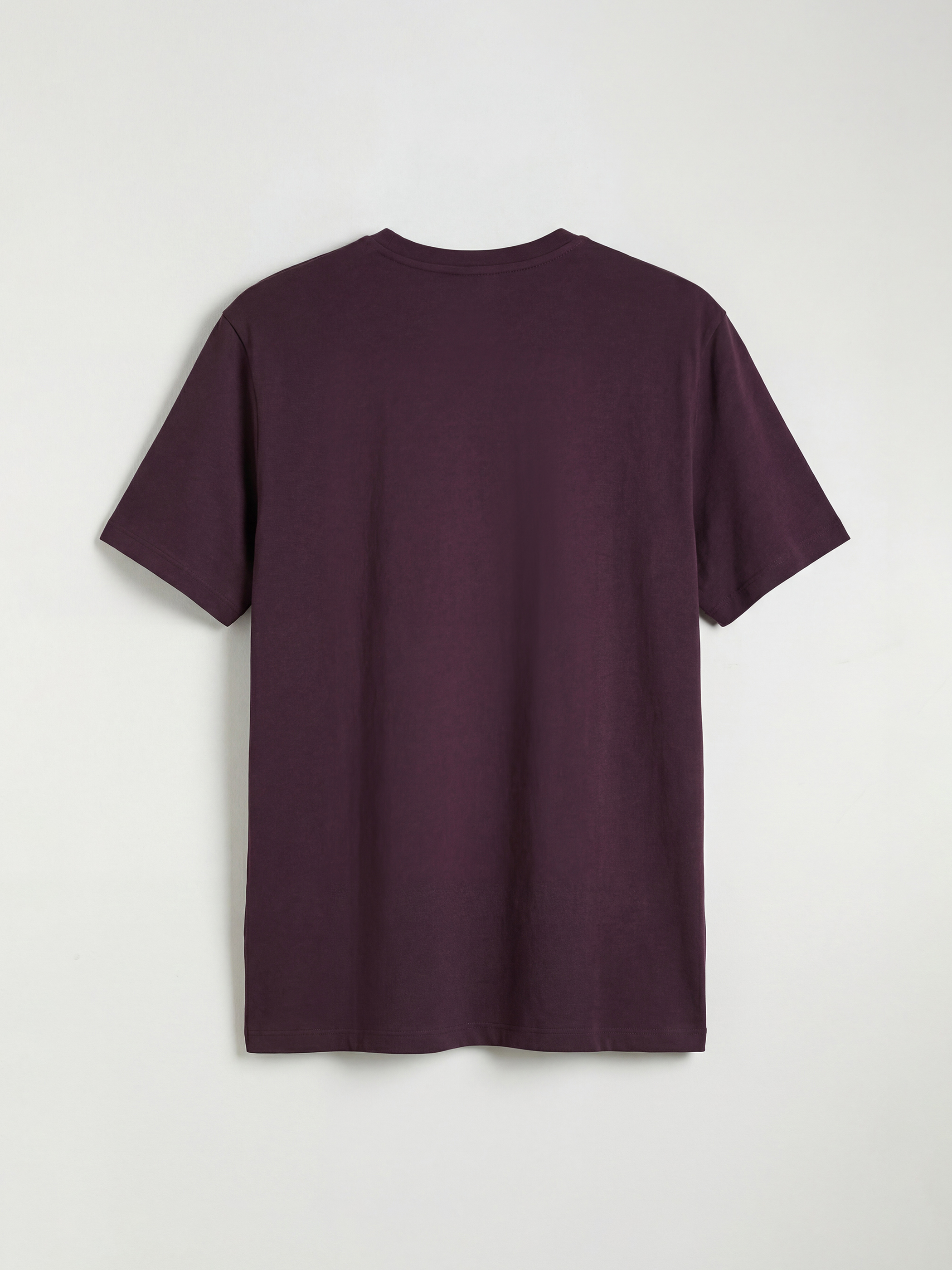 Mürdüm Bisiklet Yaka Baskılı Erkek Tişört-5