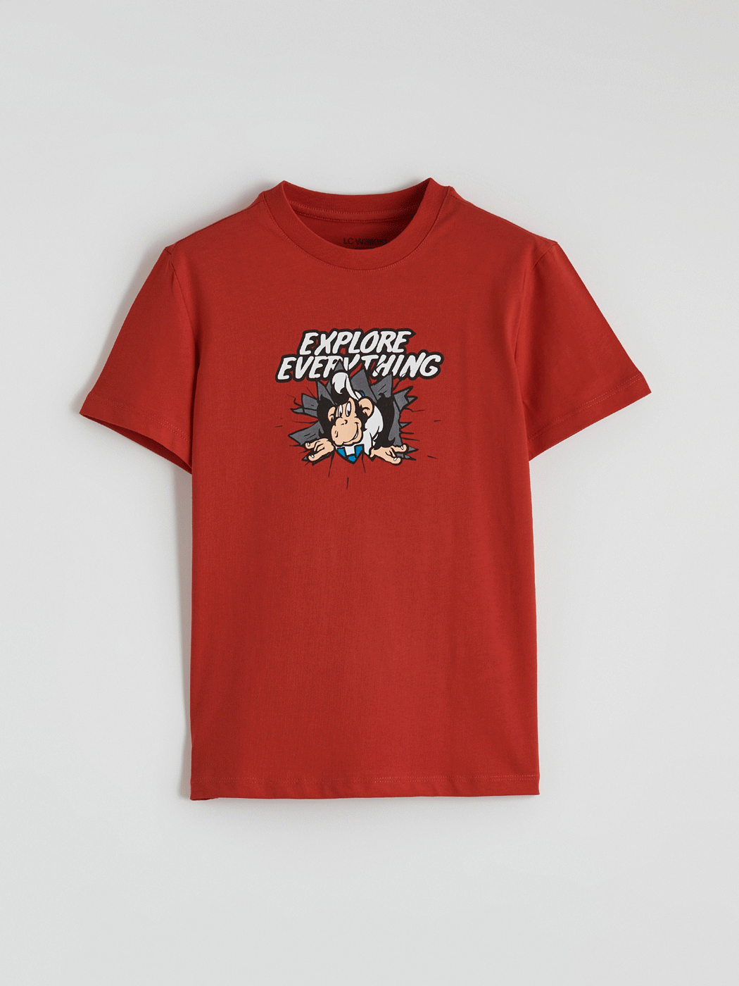 LCW ECO Nostaljik Maymun Baskılı Erkek Çocuk Tişört - S6CD98Z4-KYV
