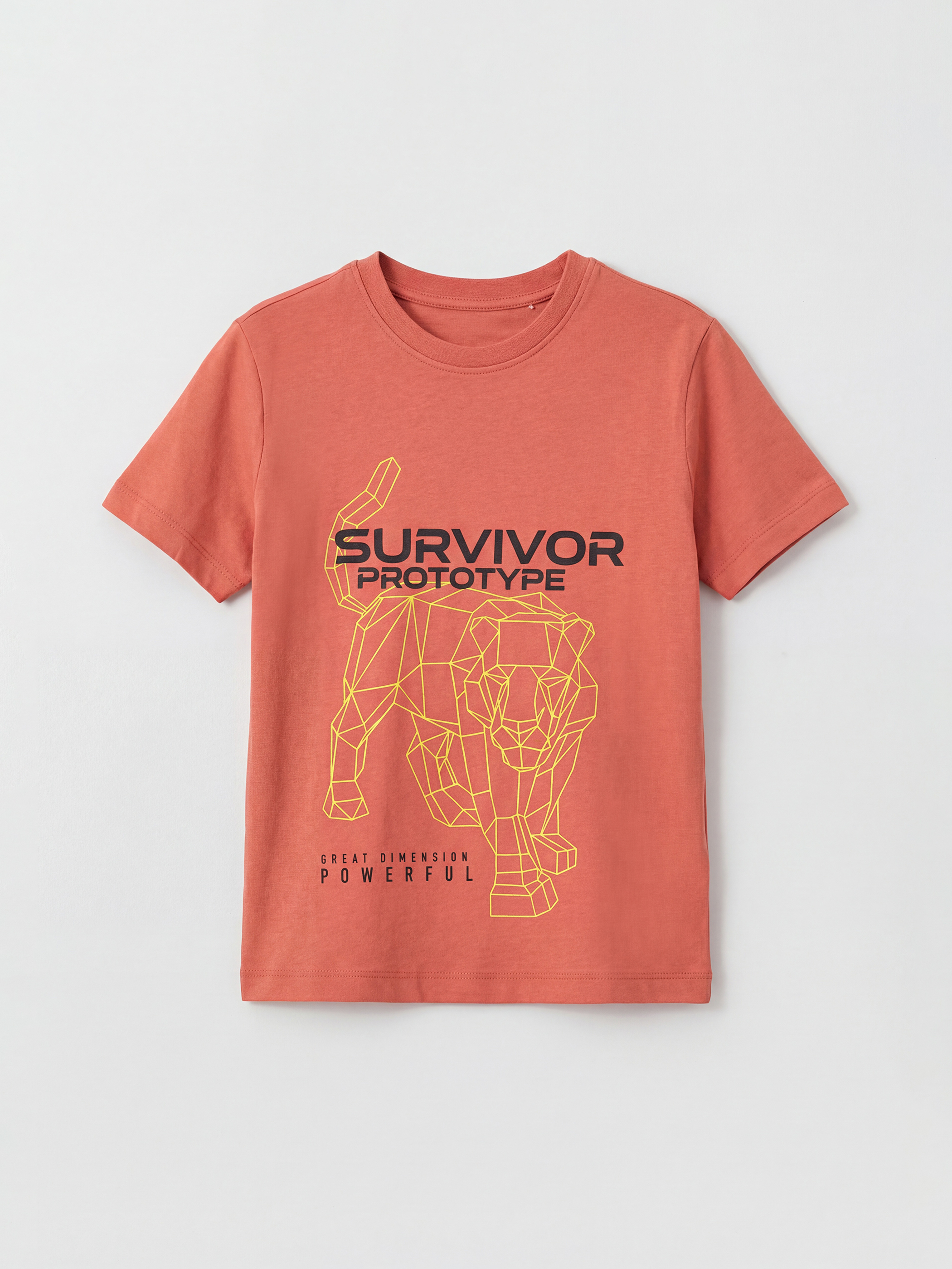 LC WAIKIKI Standart Fit Kısa Kollu Erkek Çocuk Tişört - S6CF21Z4-GZZ