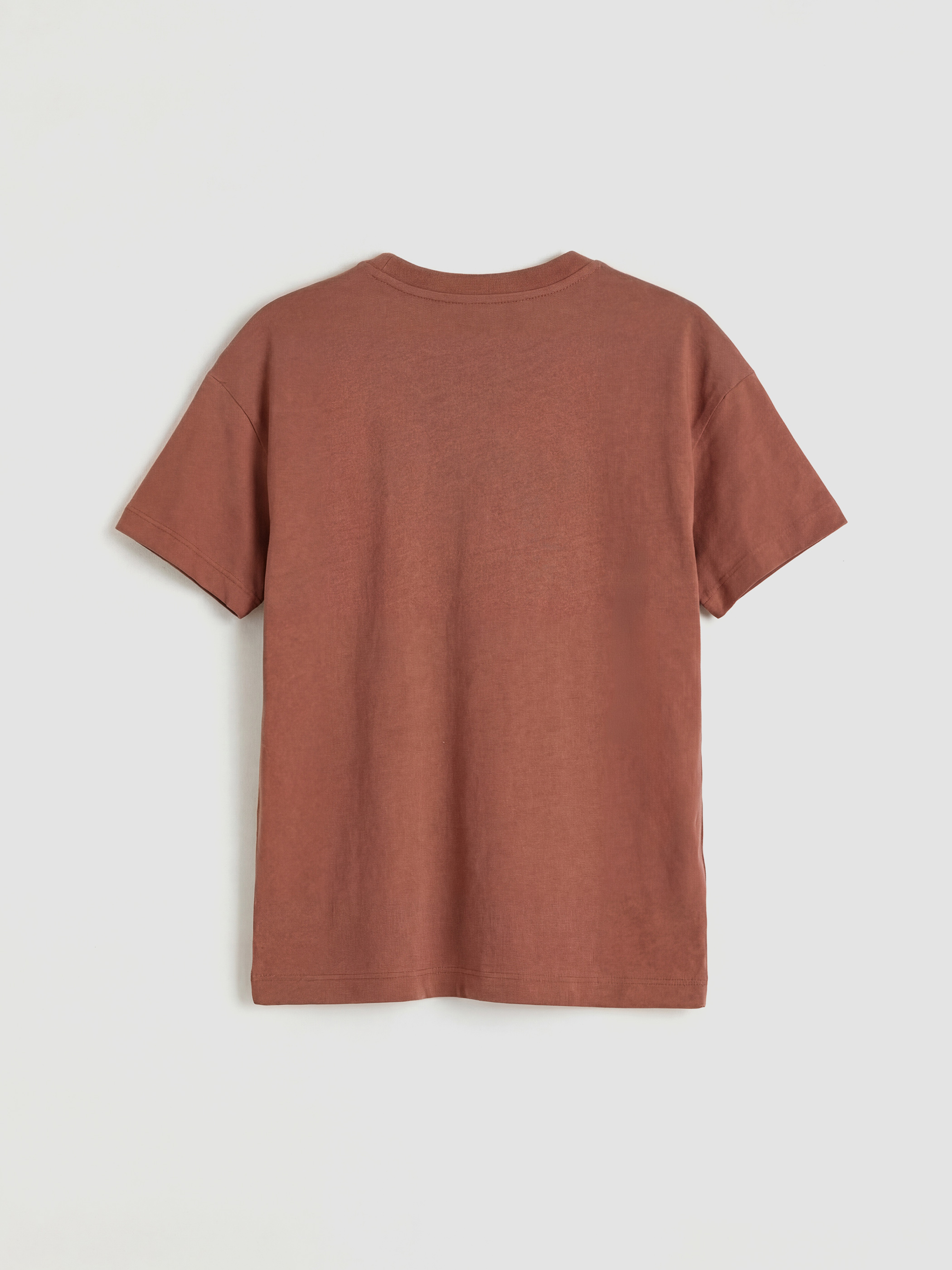 Kahverengi Baskılı Erkek Çocuk Tişört-1