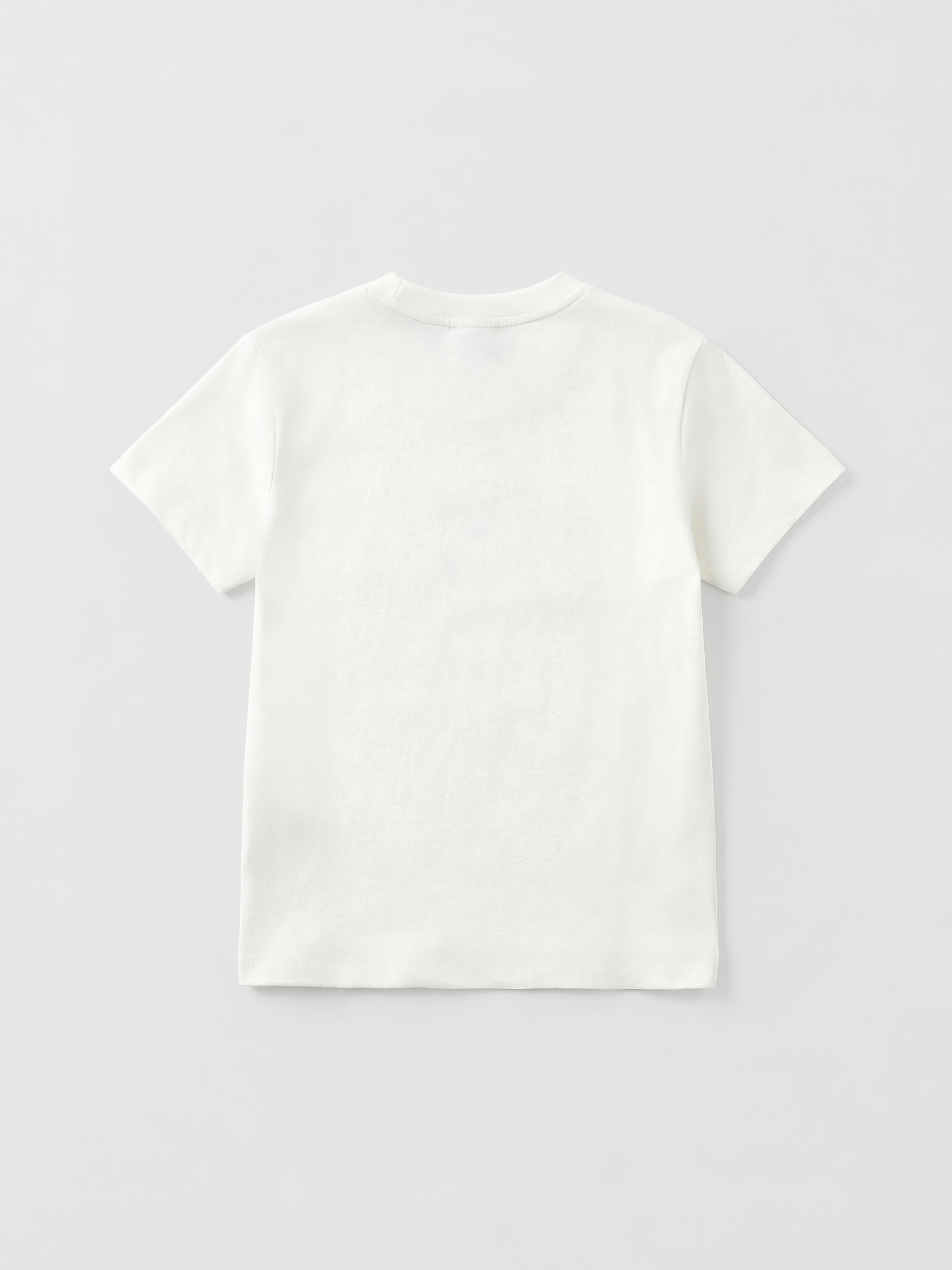 Crew Neck Printed Boys' T-shirt-1