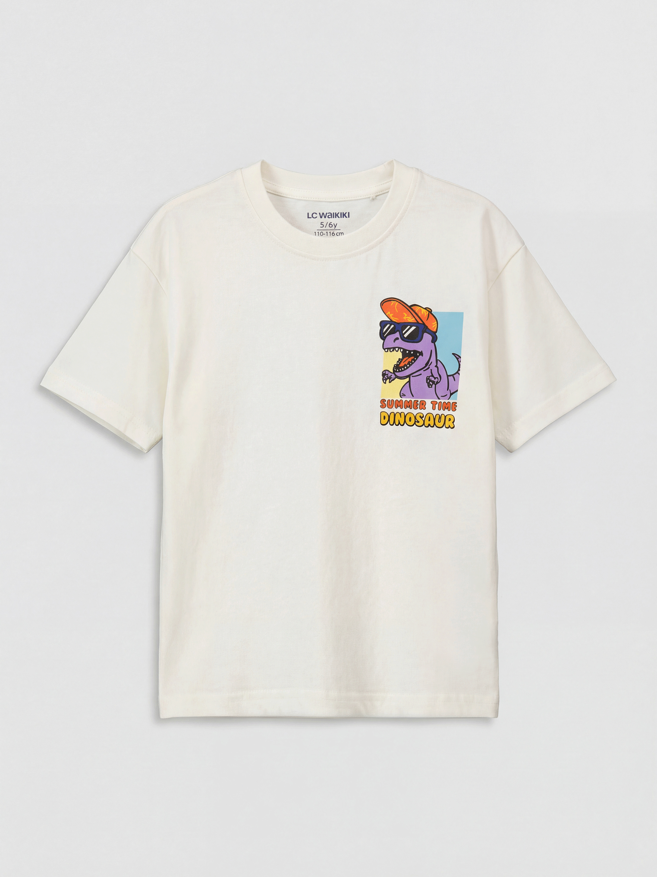 Crew Neck Printed Boys' T-Shirt-1
