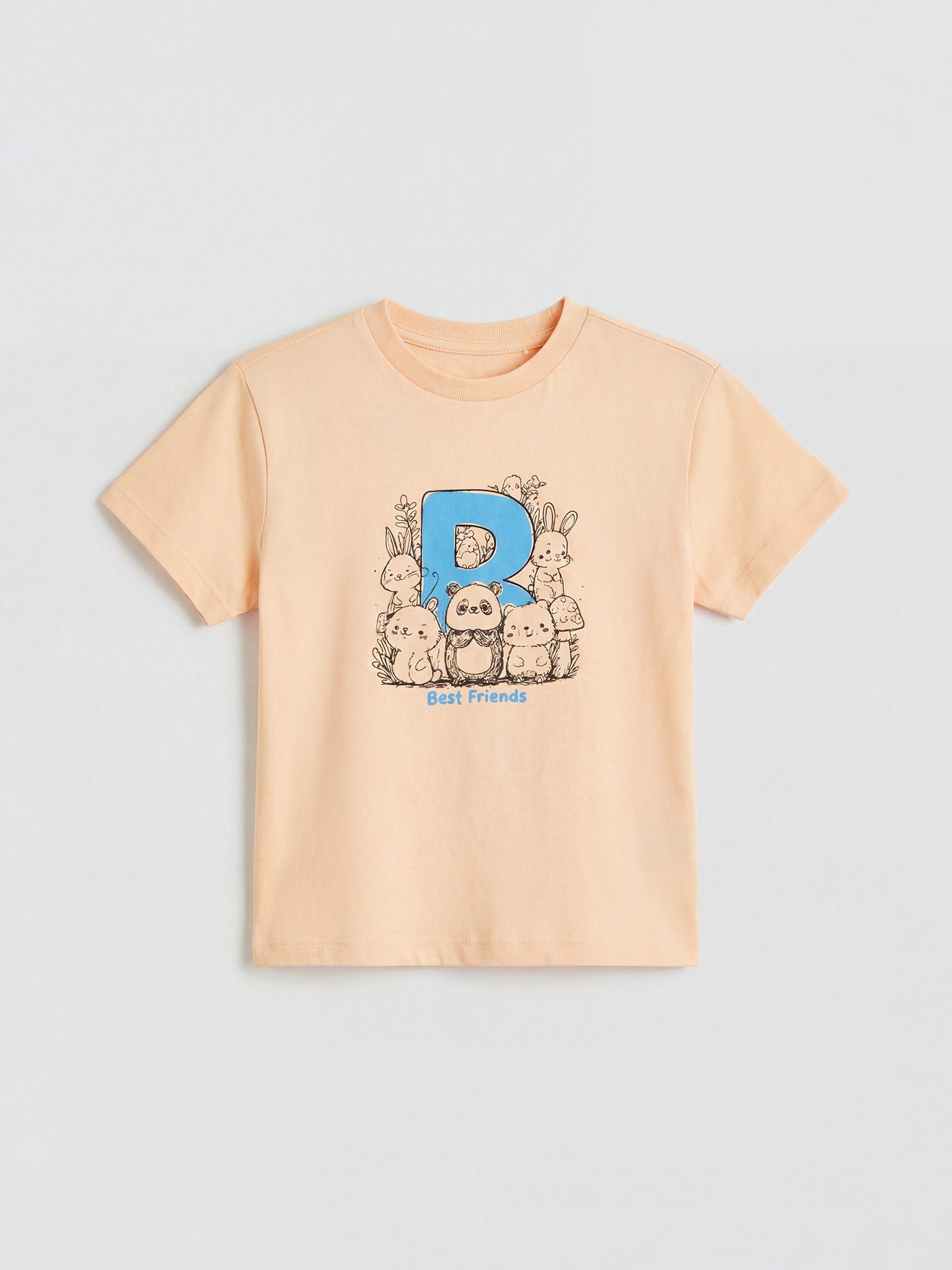 LCW Kids Baskılı Erkek Çocuk Tişört