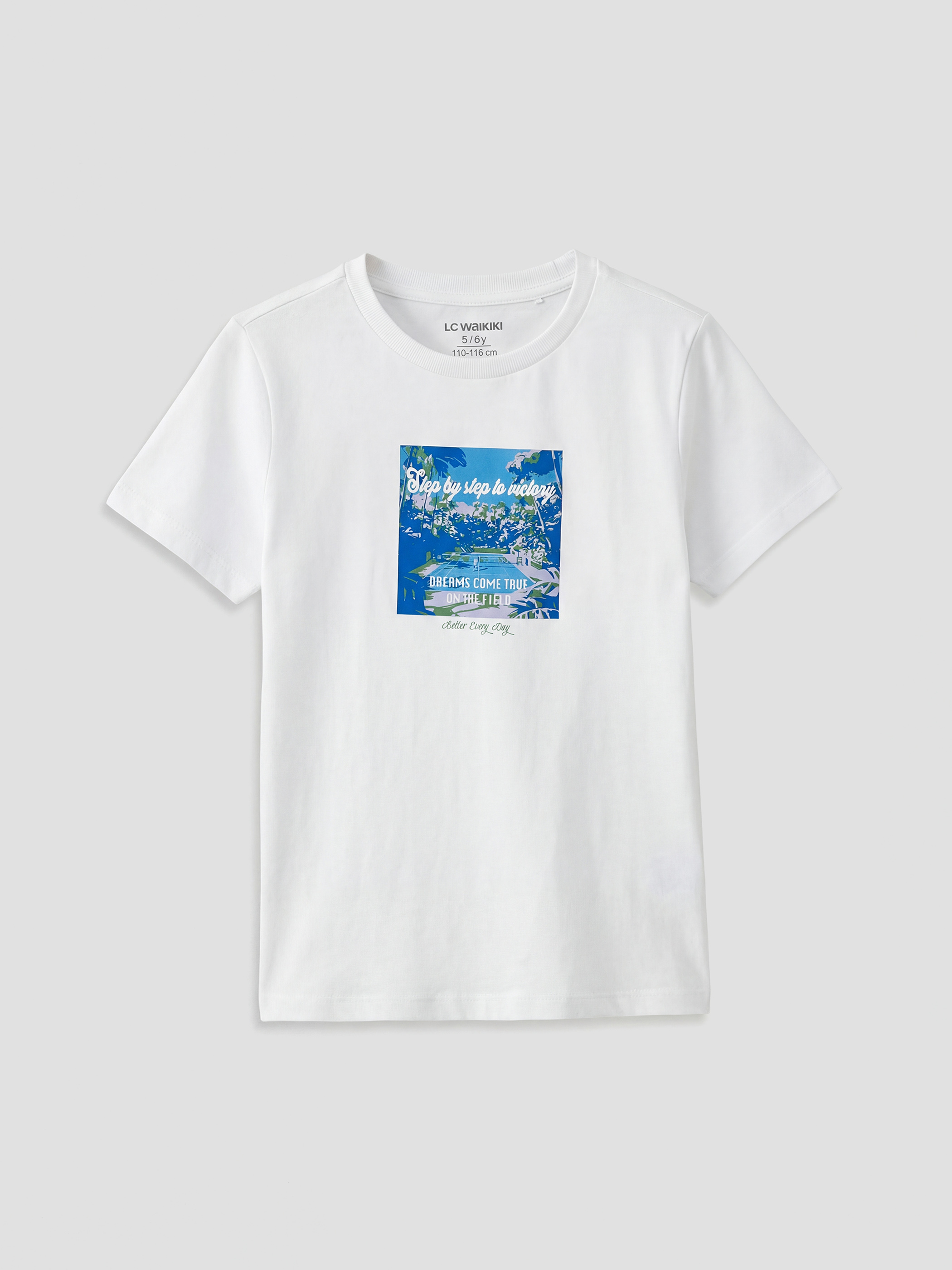 LC WAIKIKI Bisiklet Yaka Baskılı Erkek Çocuk Tişört - S6ER60Z4-J5E
