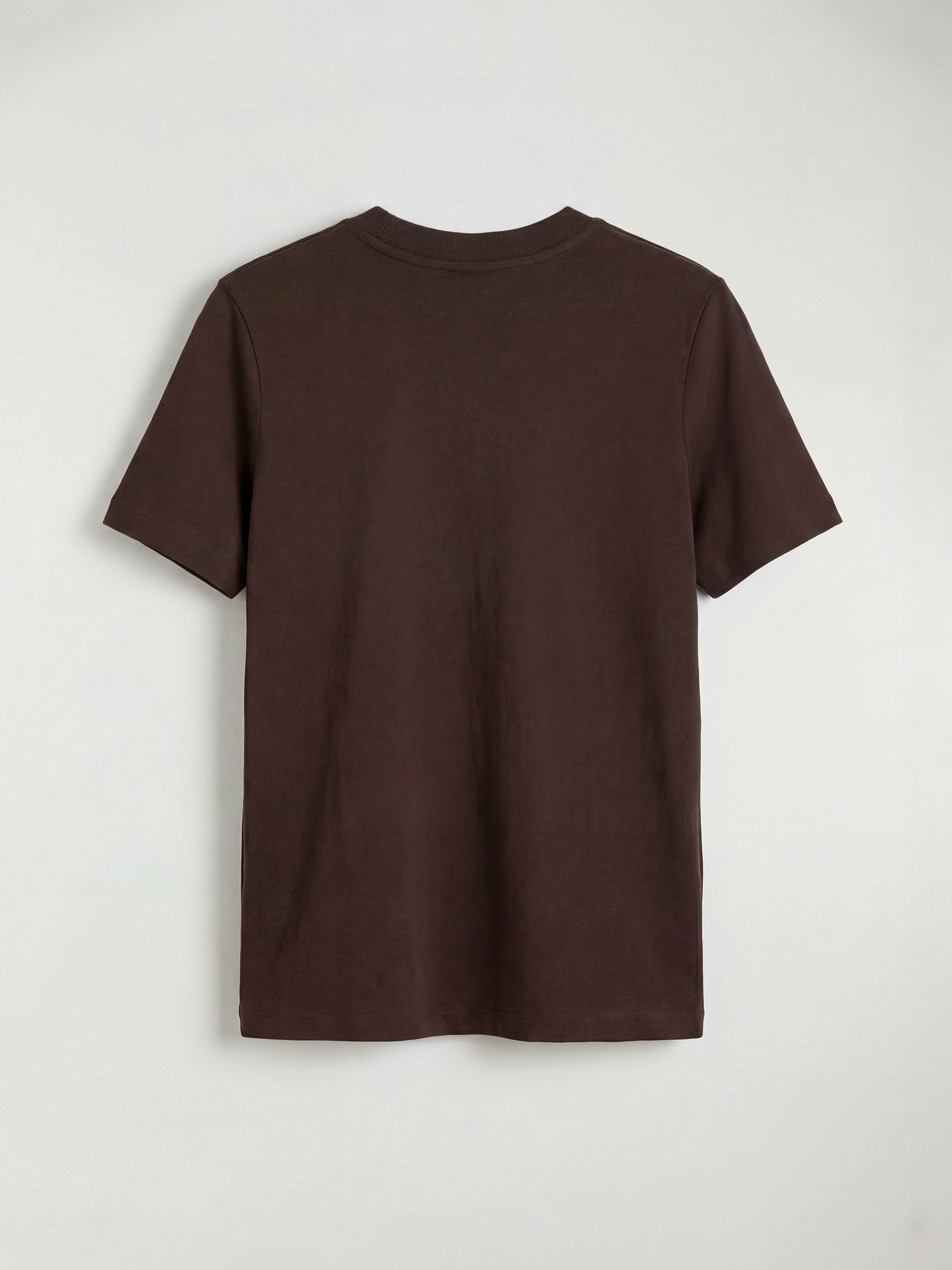 Kahverengi Bisiklet Yaka Kadın Tişört-5