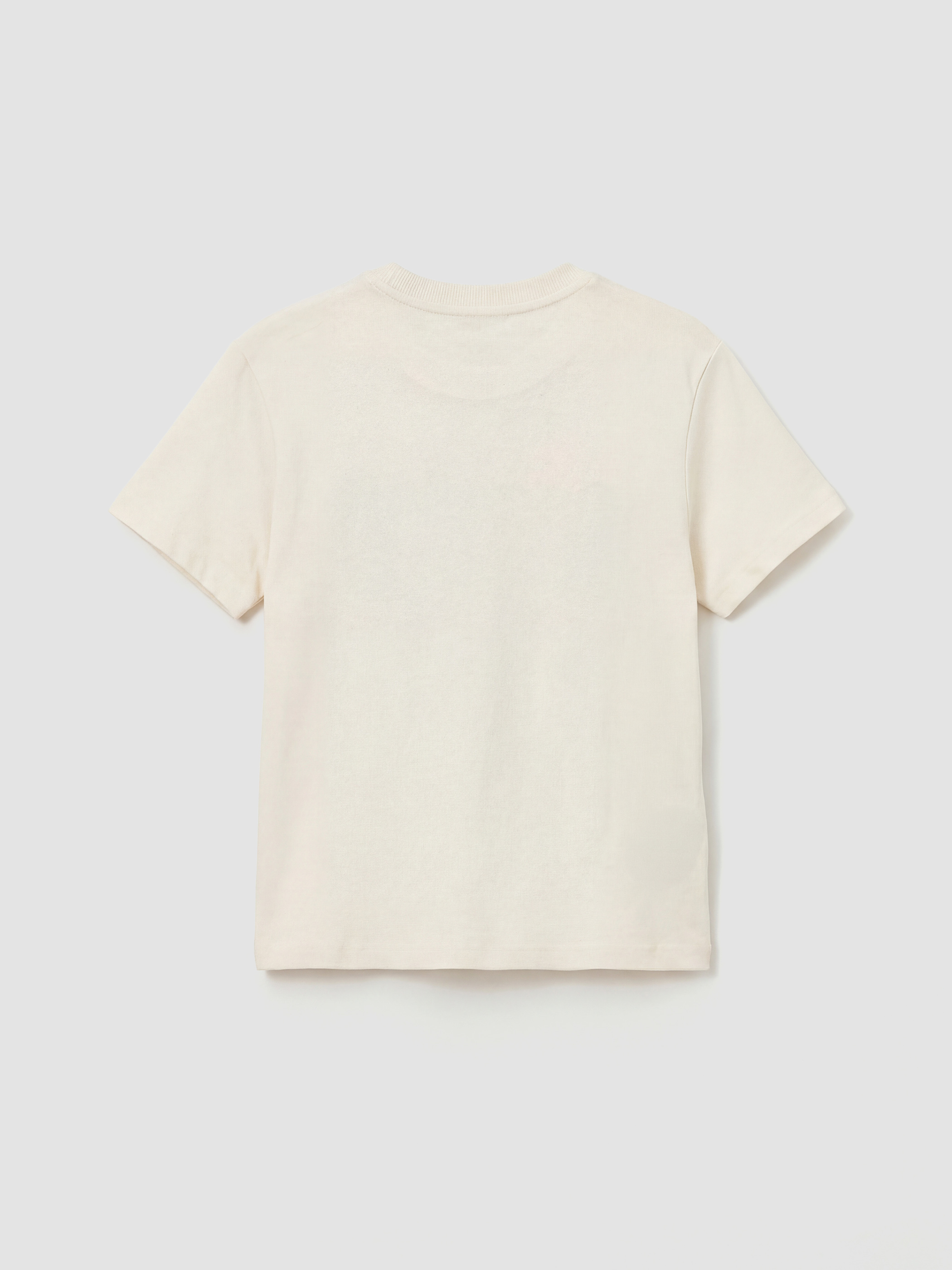 Crew Neck Printed Boys' T-Shirt-1