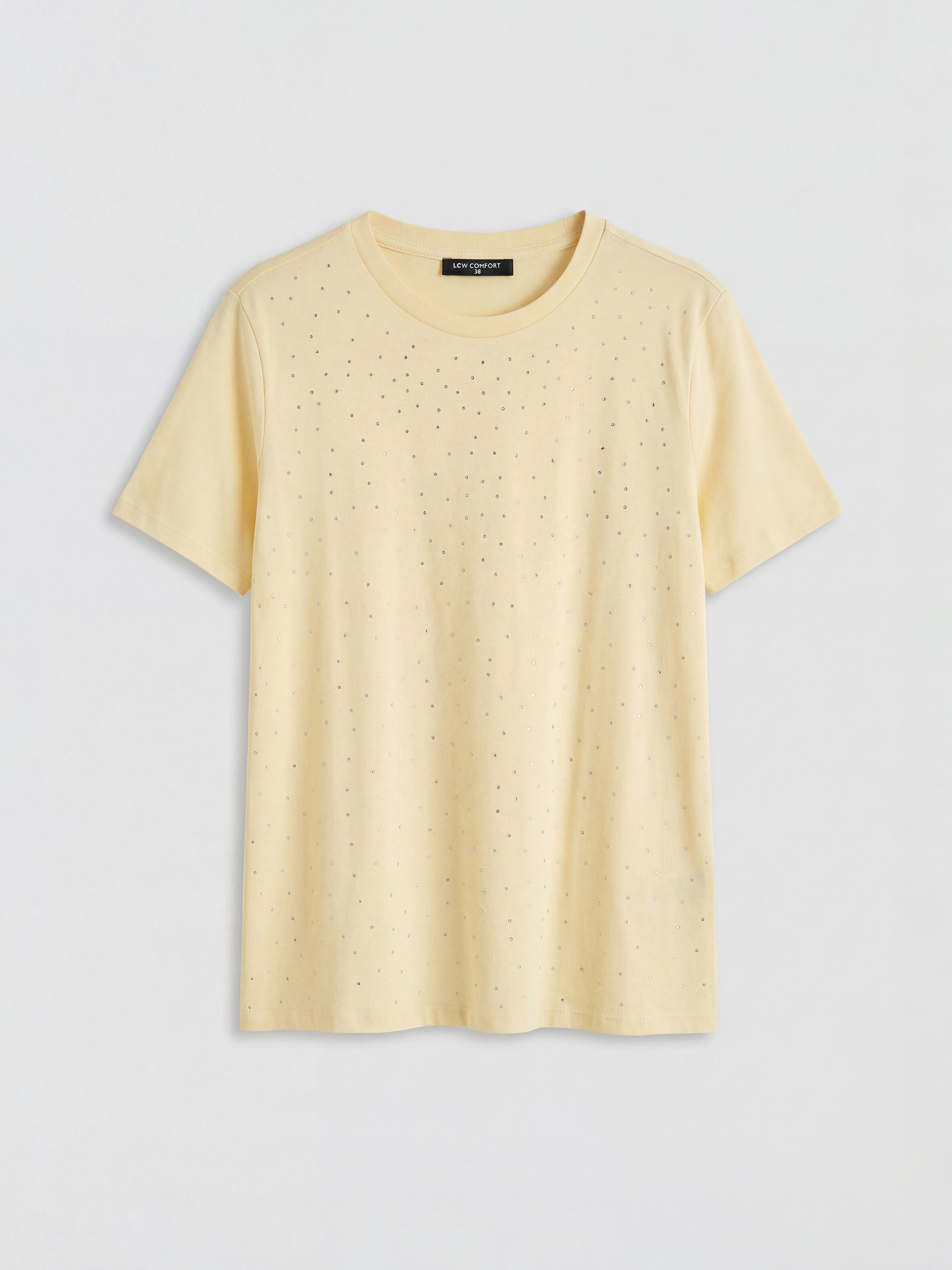 LCW Comfort Bisiklet Yaka Taşlı Kadın Tişört - S6G479Z8-FDS