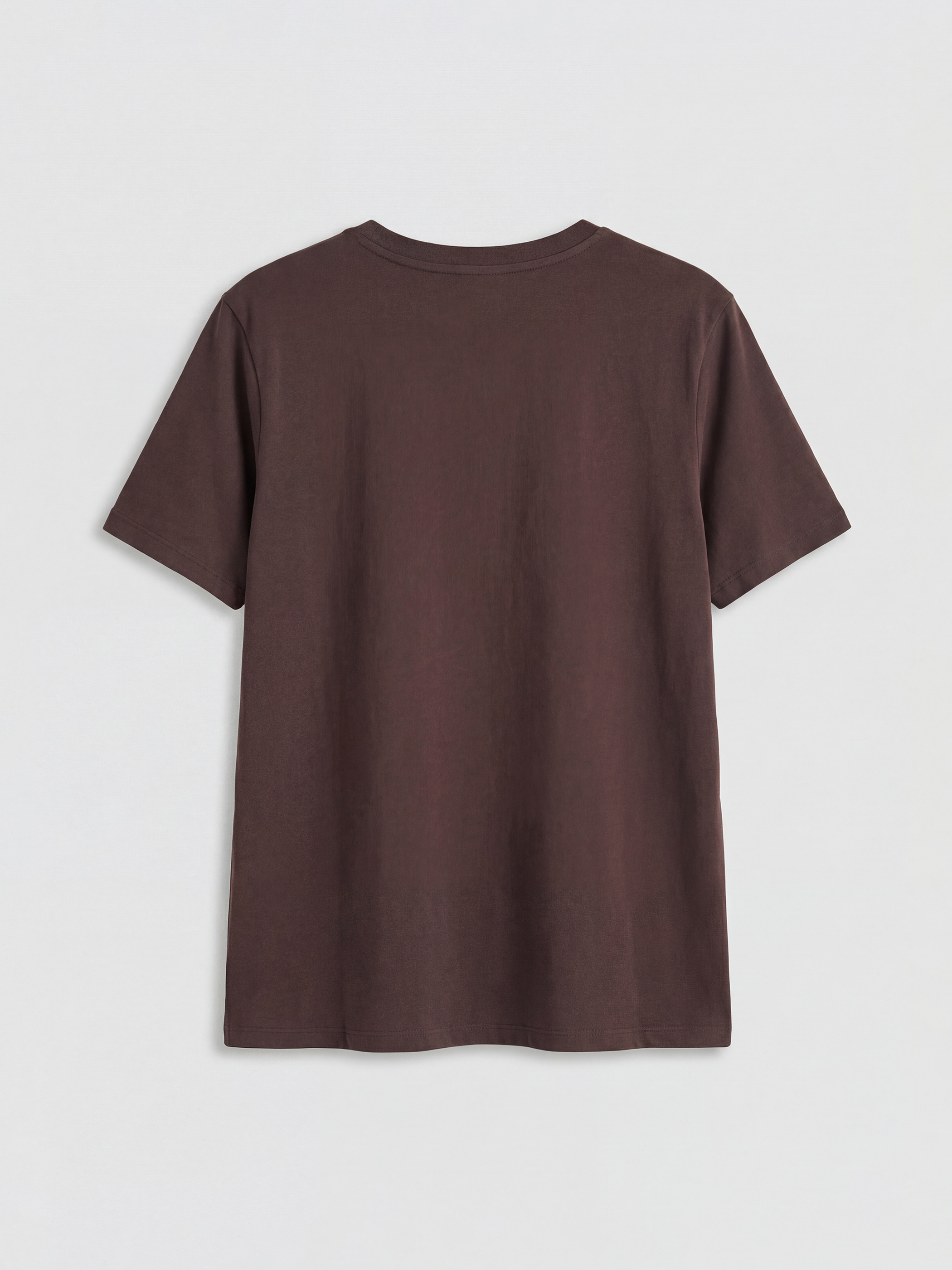 Kahverengi Bisiklet Yaka Taşlı Kadın Tişört-5