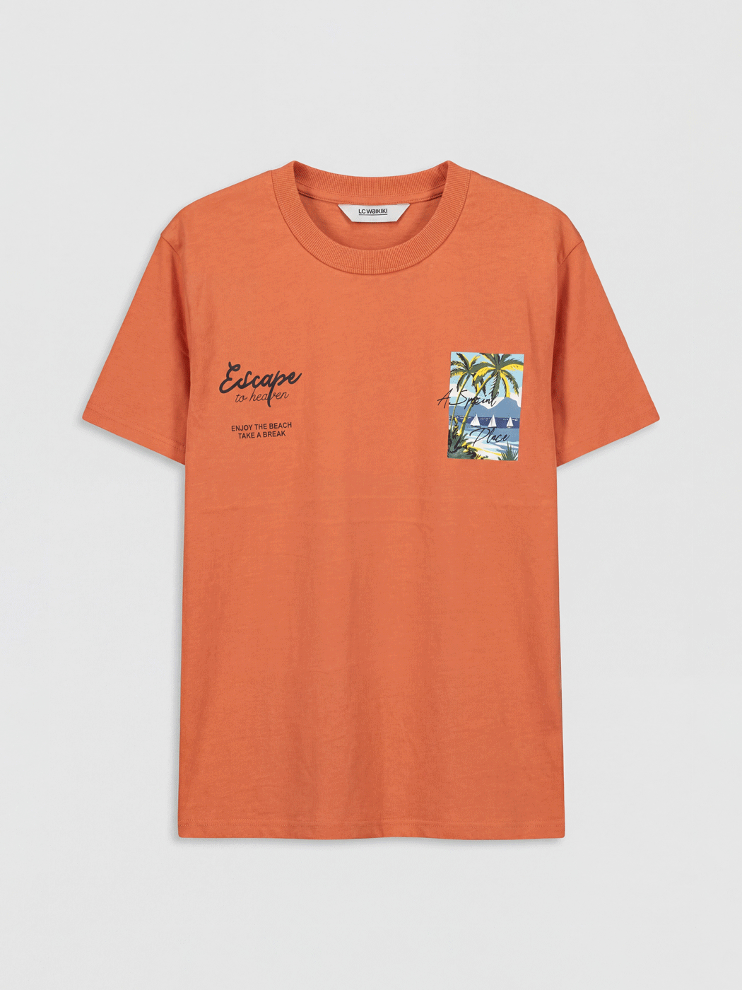 LCW Kids Tricou băieți imprimat cu guler rotund