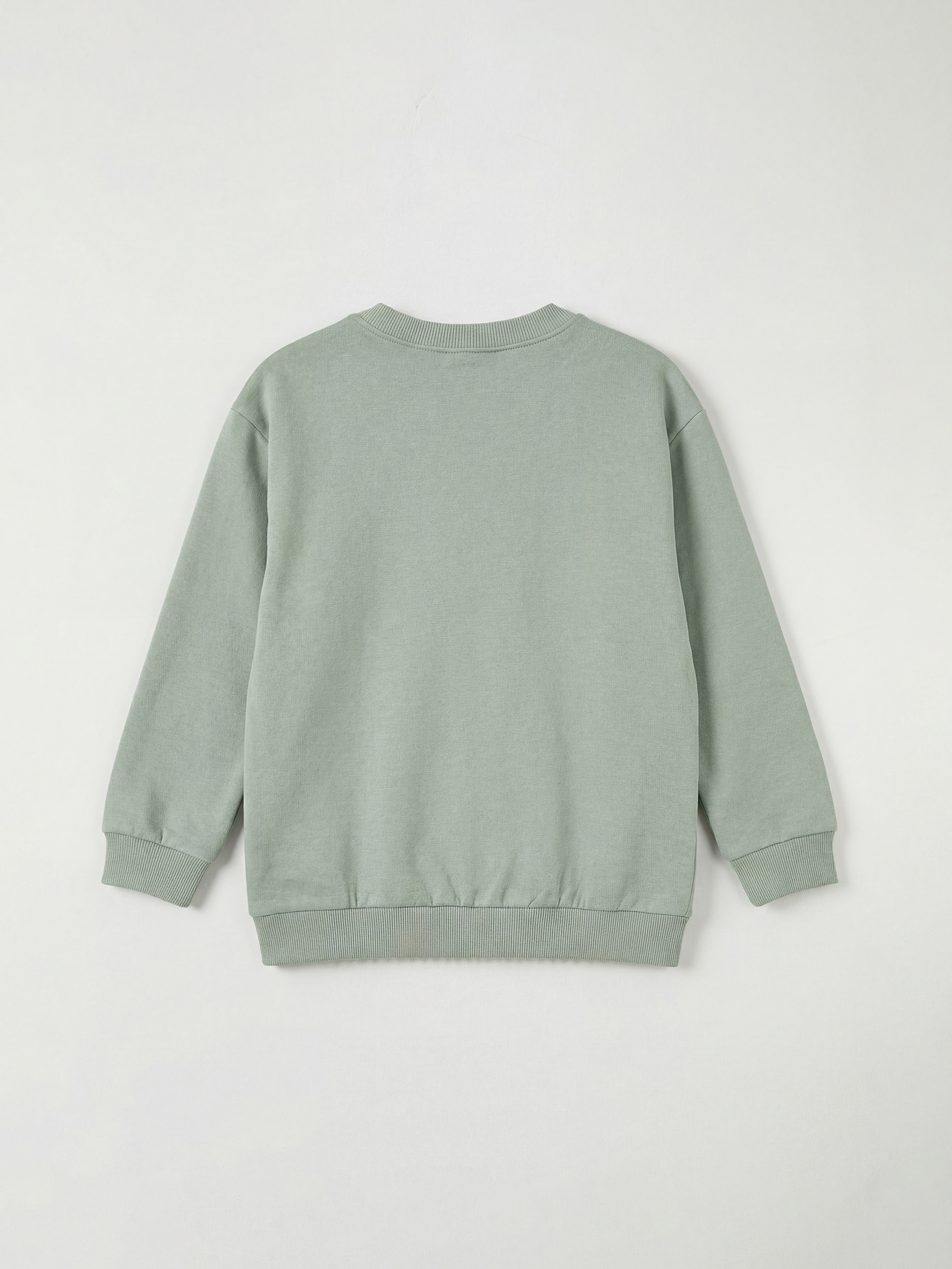 Boy GREEN Sweatshirt-1