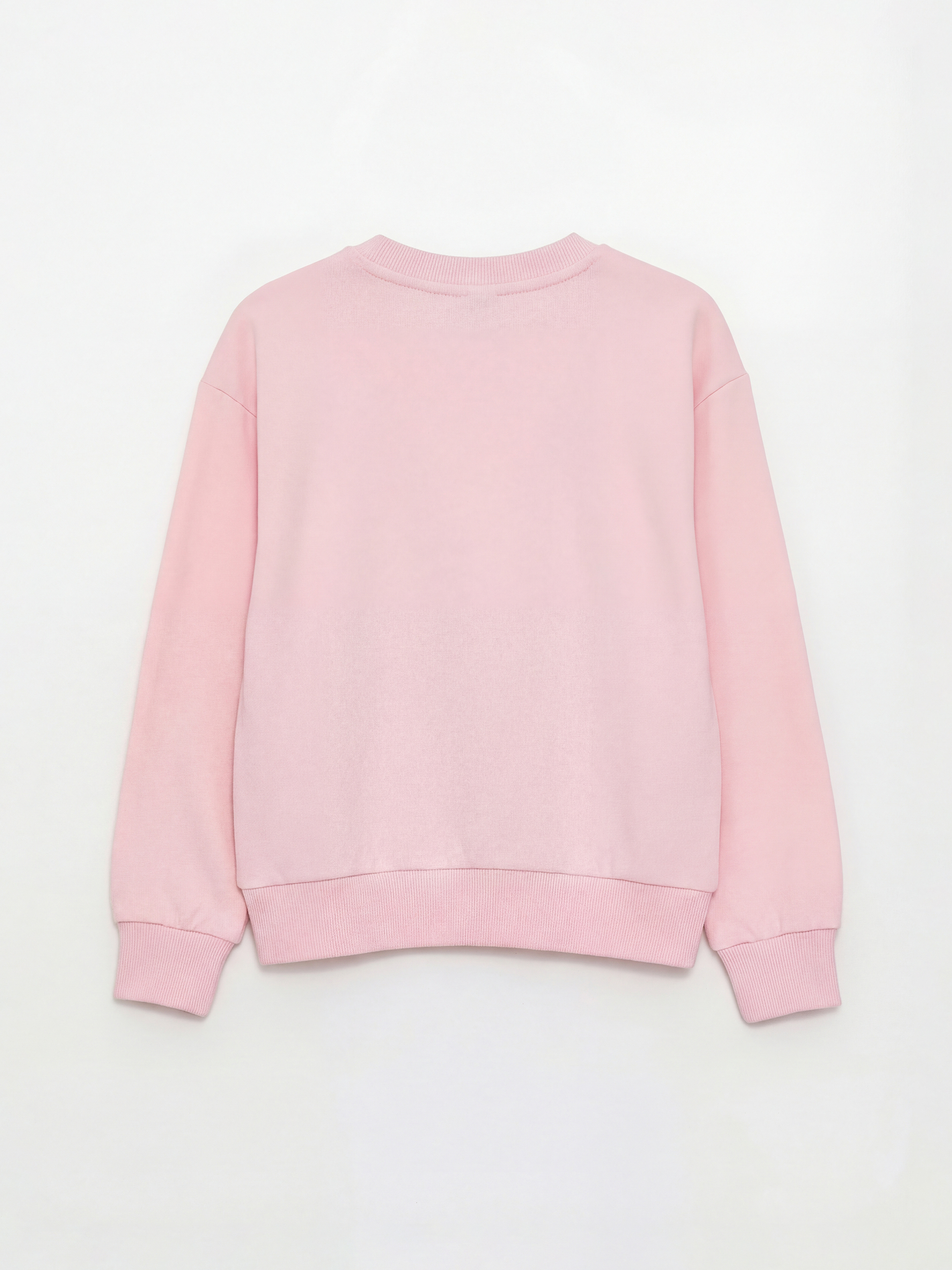 Girl PINK Sweatshirt-2