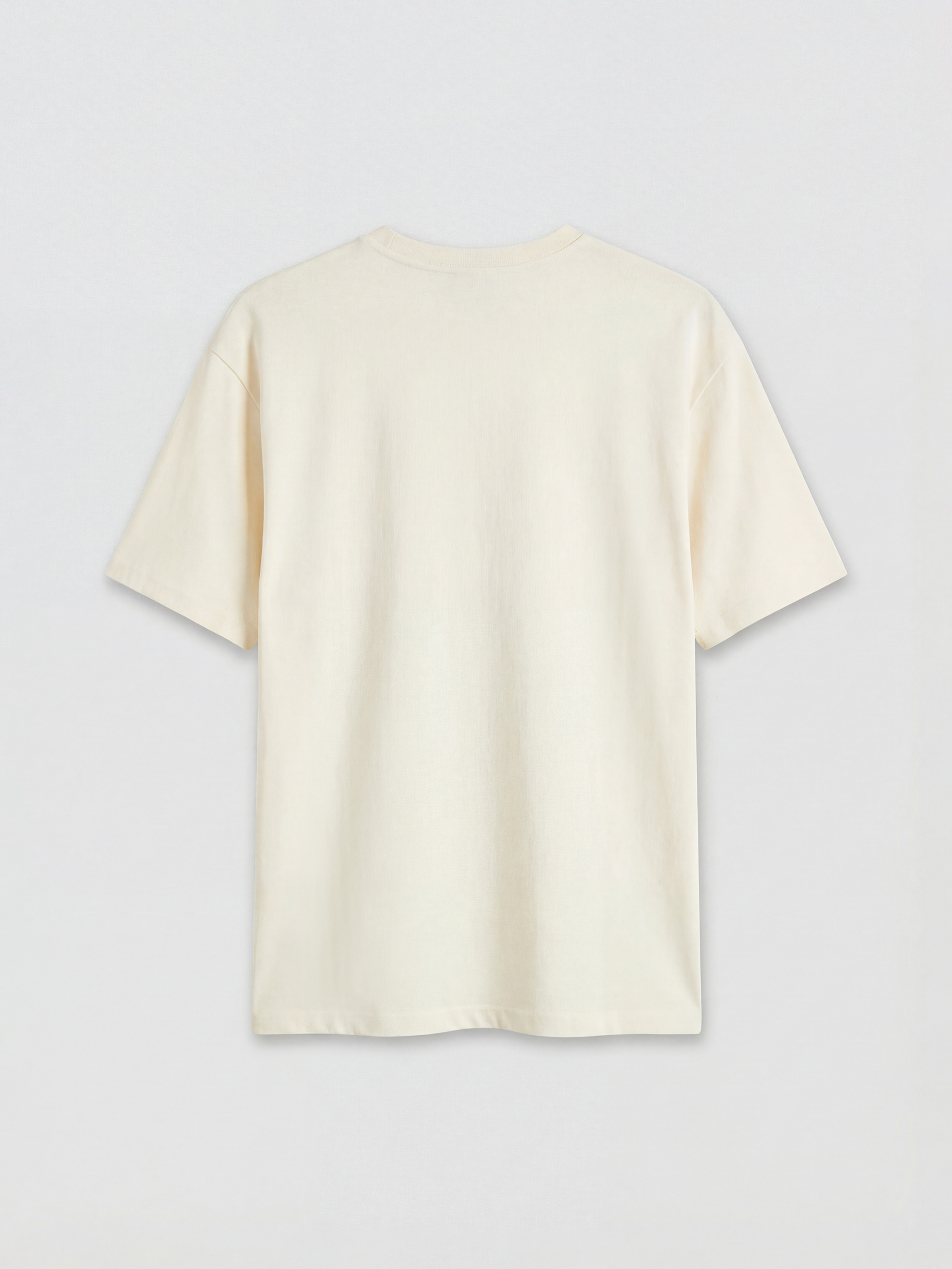 Ekru Bisiklet Yaka Baskılı Erkek Tişört-5