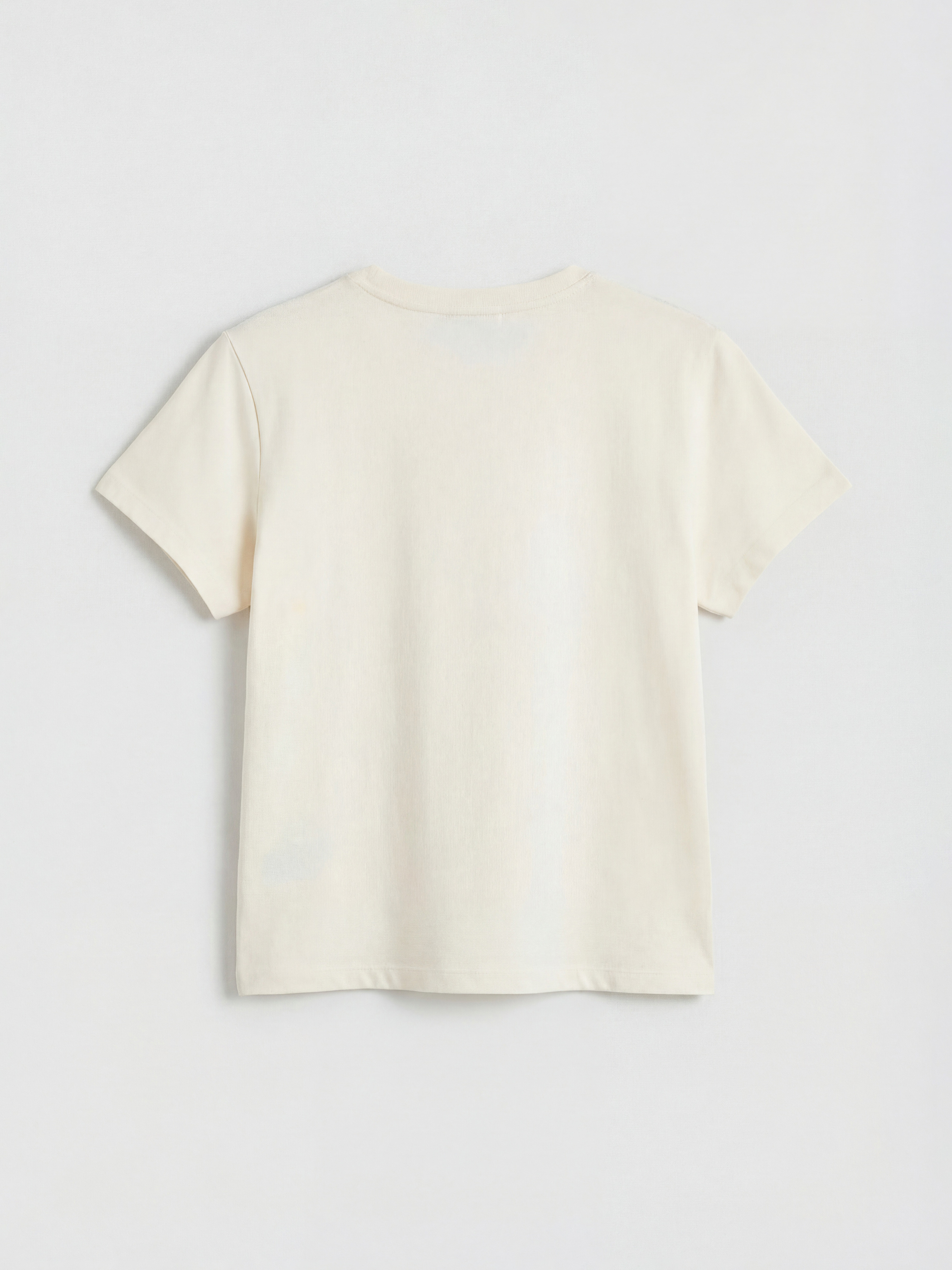 Ekru Bisiklet Yaka Santorini Baskılı Kadın Tişört-5