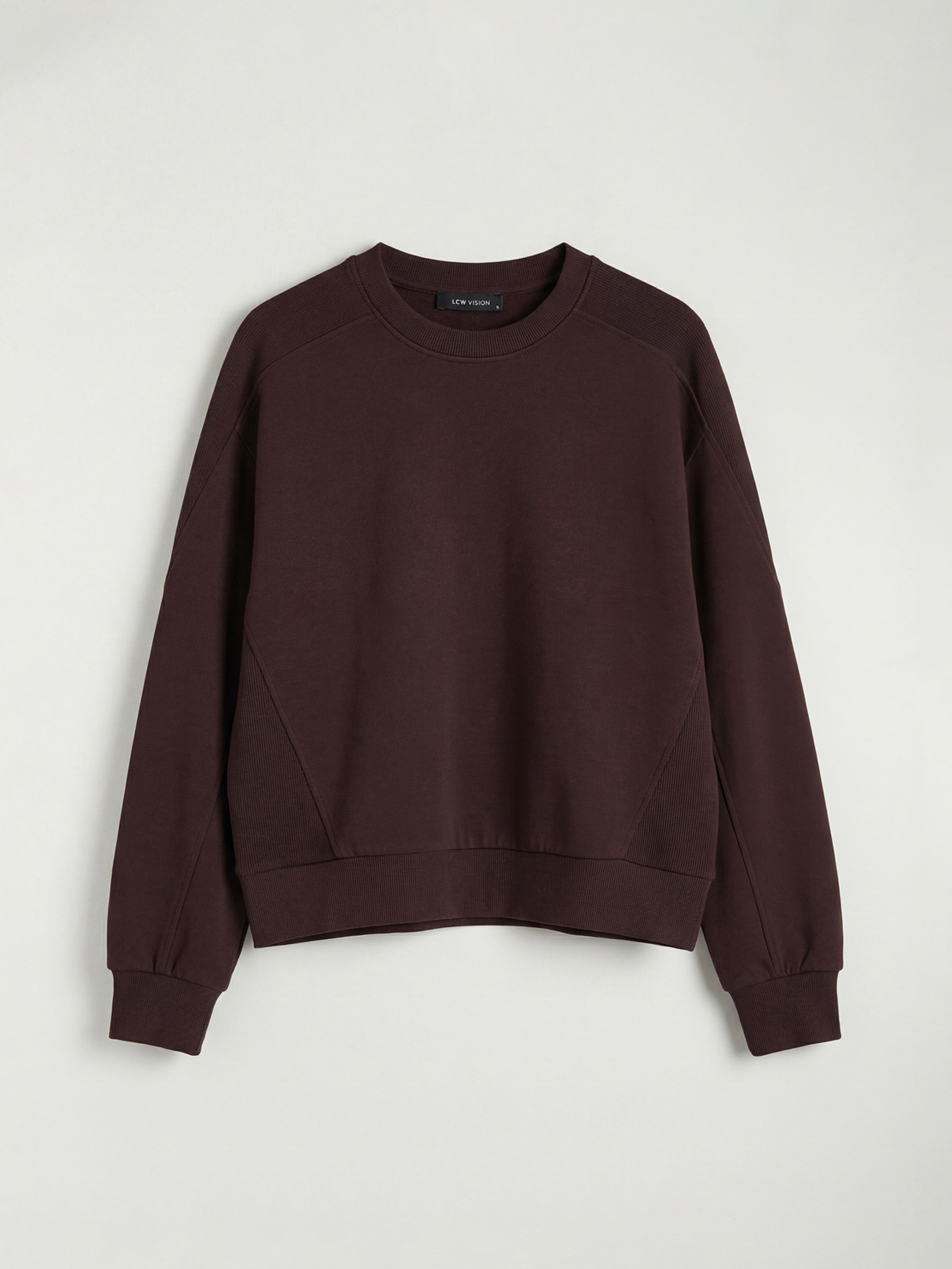 LCW Vision Bisiklet Yaka Oversize Kadın Sweatshirt - S6L584Z8-2BV