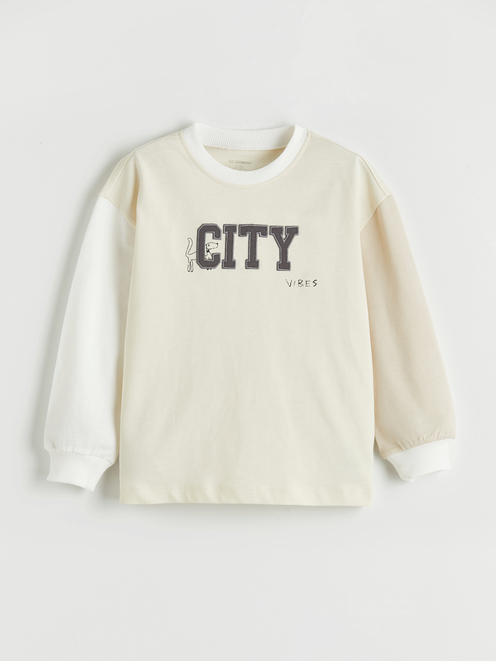 Bej Bisiklet Yaka Renk Bloğu Erkek Çocuk Sweatshirt-1