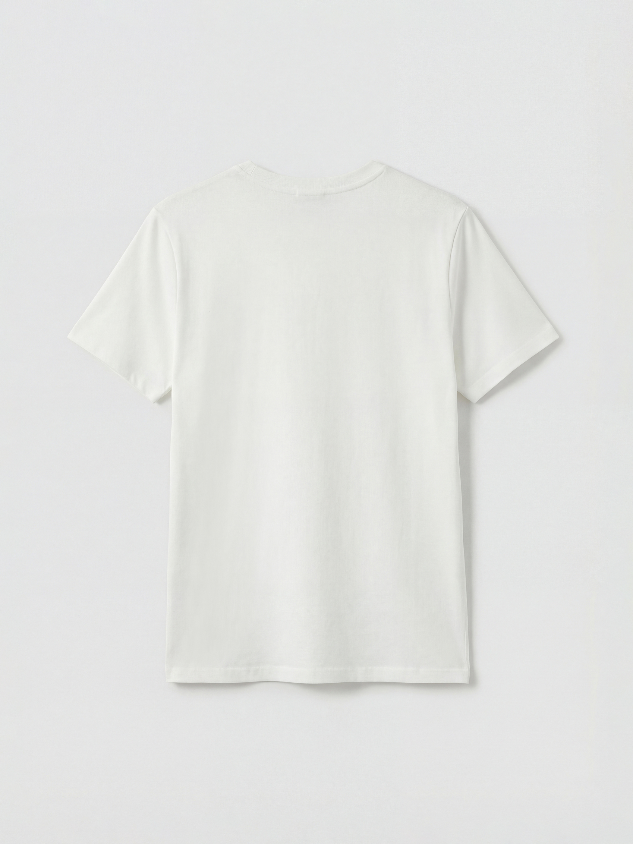 Crew Neck Applique Detailed Women's T-Shirt-5