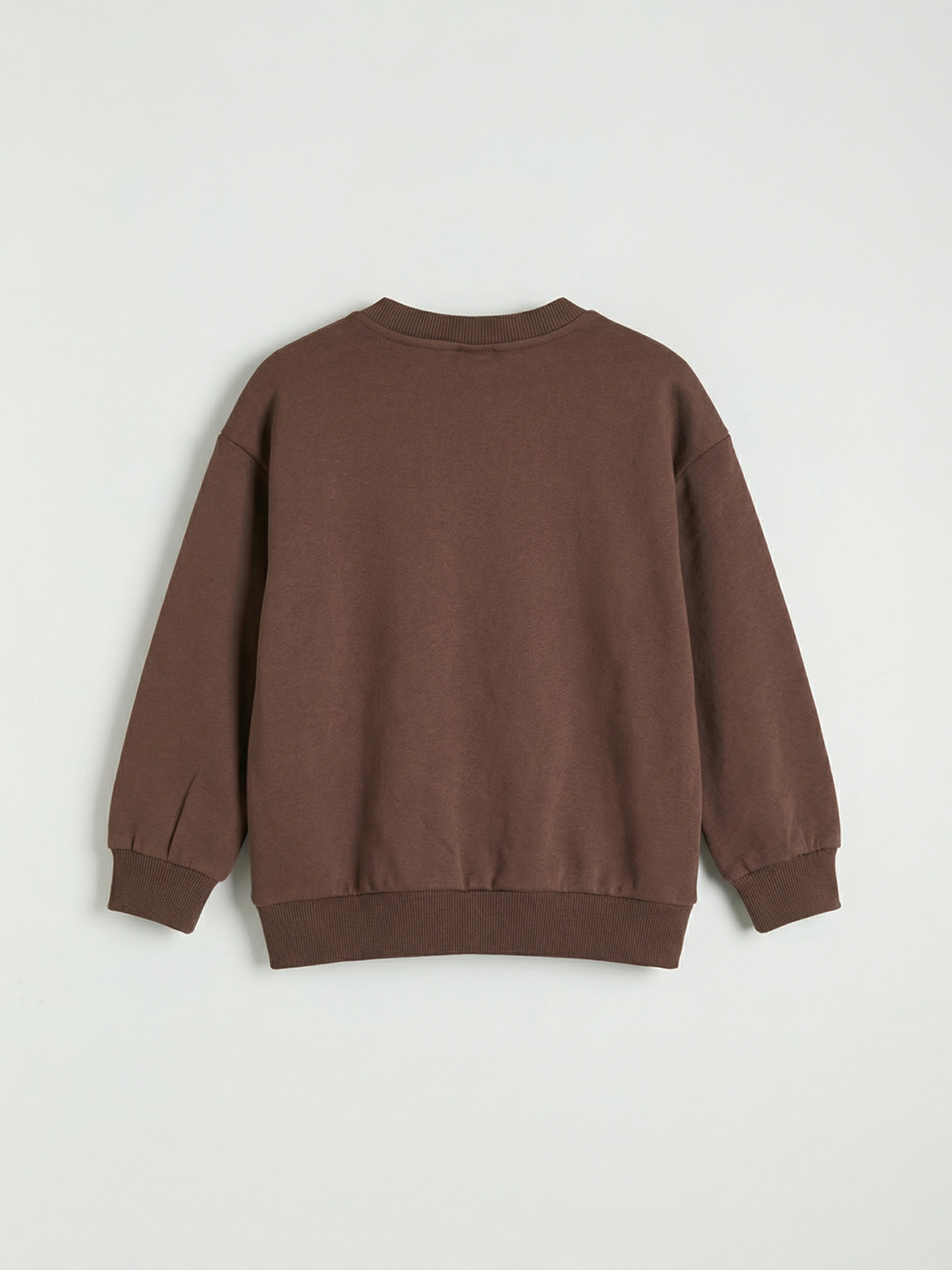 Kahverengi Baskılı Erkek Bebek Sweatshirt-1