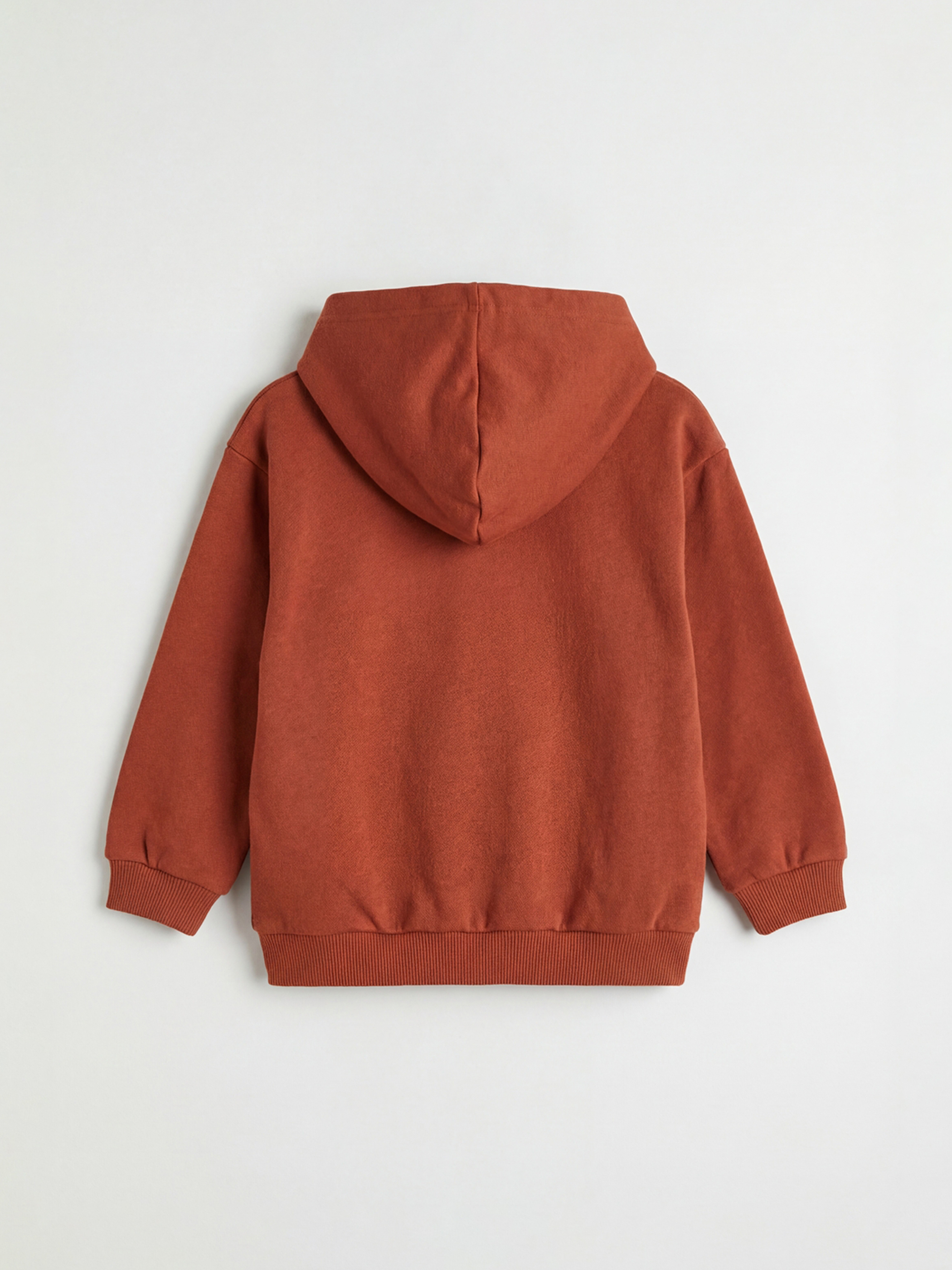 Kahverengi Kapüşonlu Baskılı Erkek Bebek Fermuarlı Sweatshirt-1