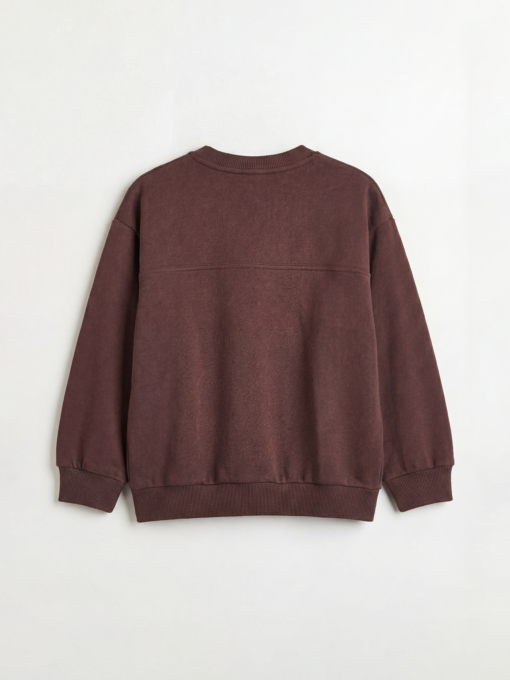 Kahverengi Snoopy Baskılı Erkek Çocuk Kalın Sweatshirt ve Eşofman Altı-2