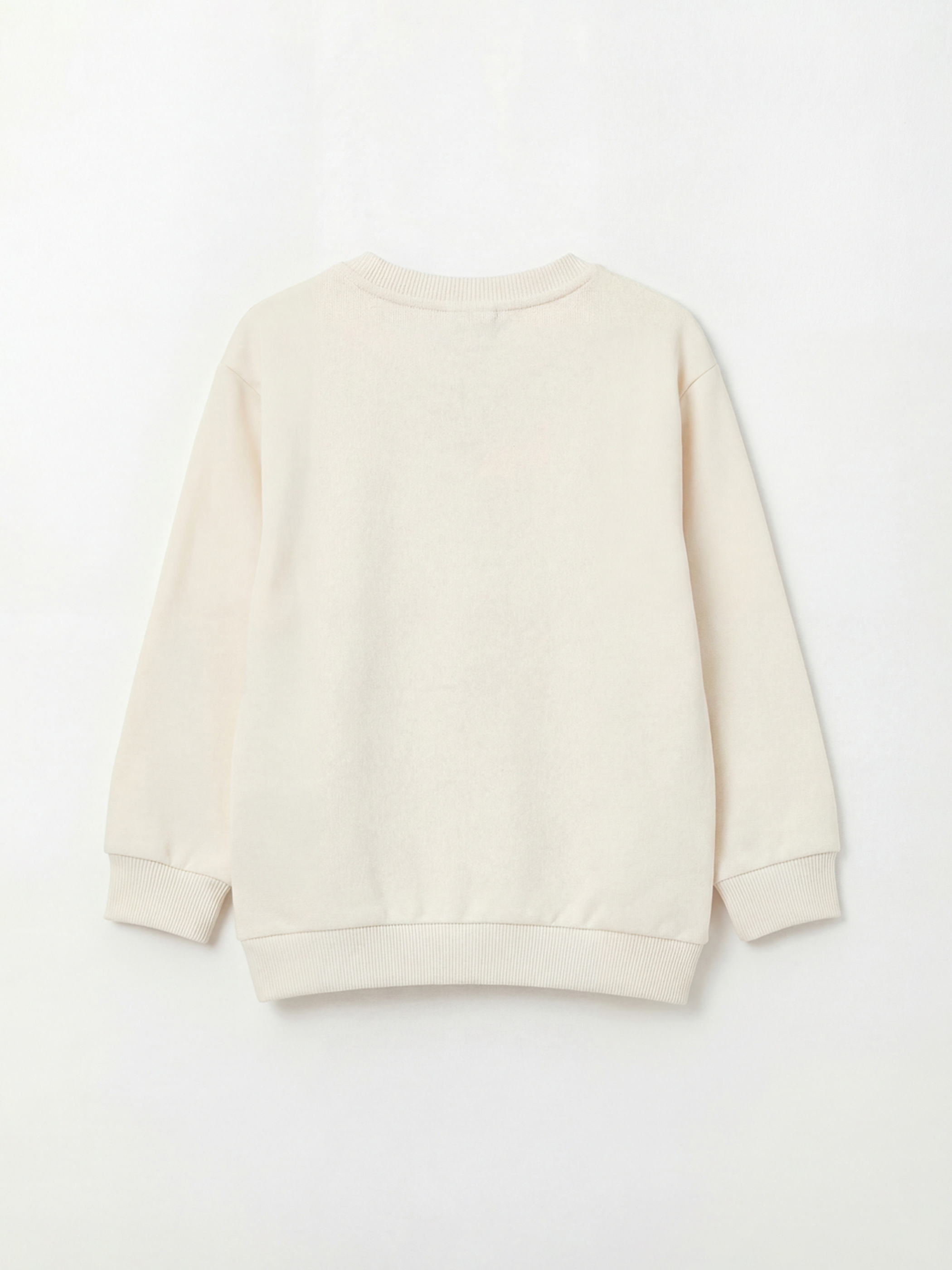 Ekru Nakışlı Erkek Çocuk Kalın Sweatshirt-1