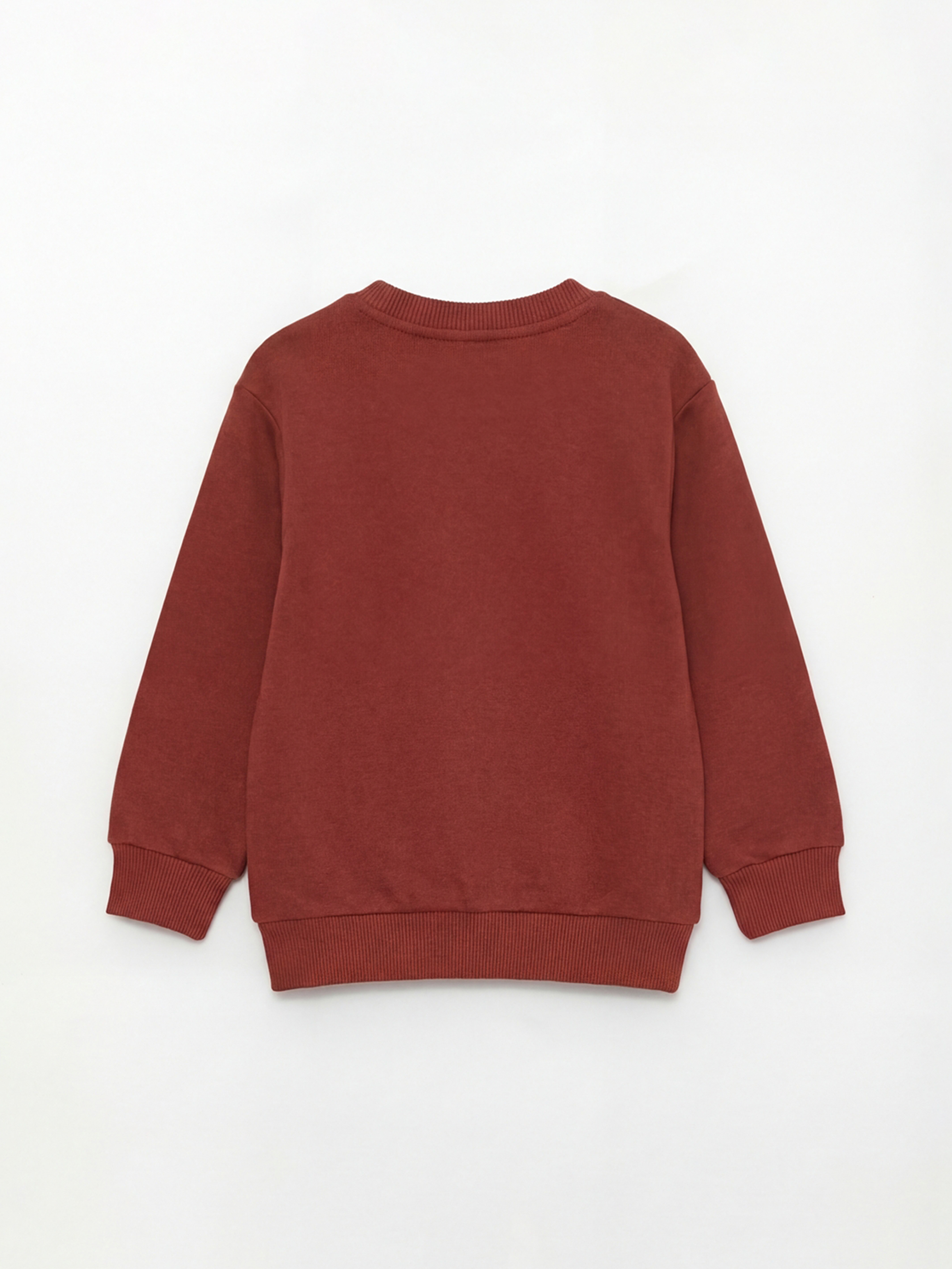 Kahverengi Nakışlı Erkek Çocuk Kalın Sweatshirt-1