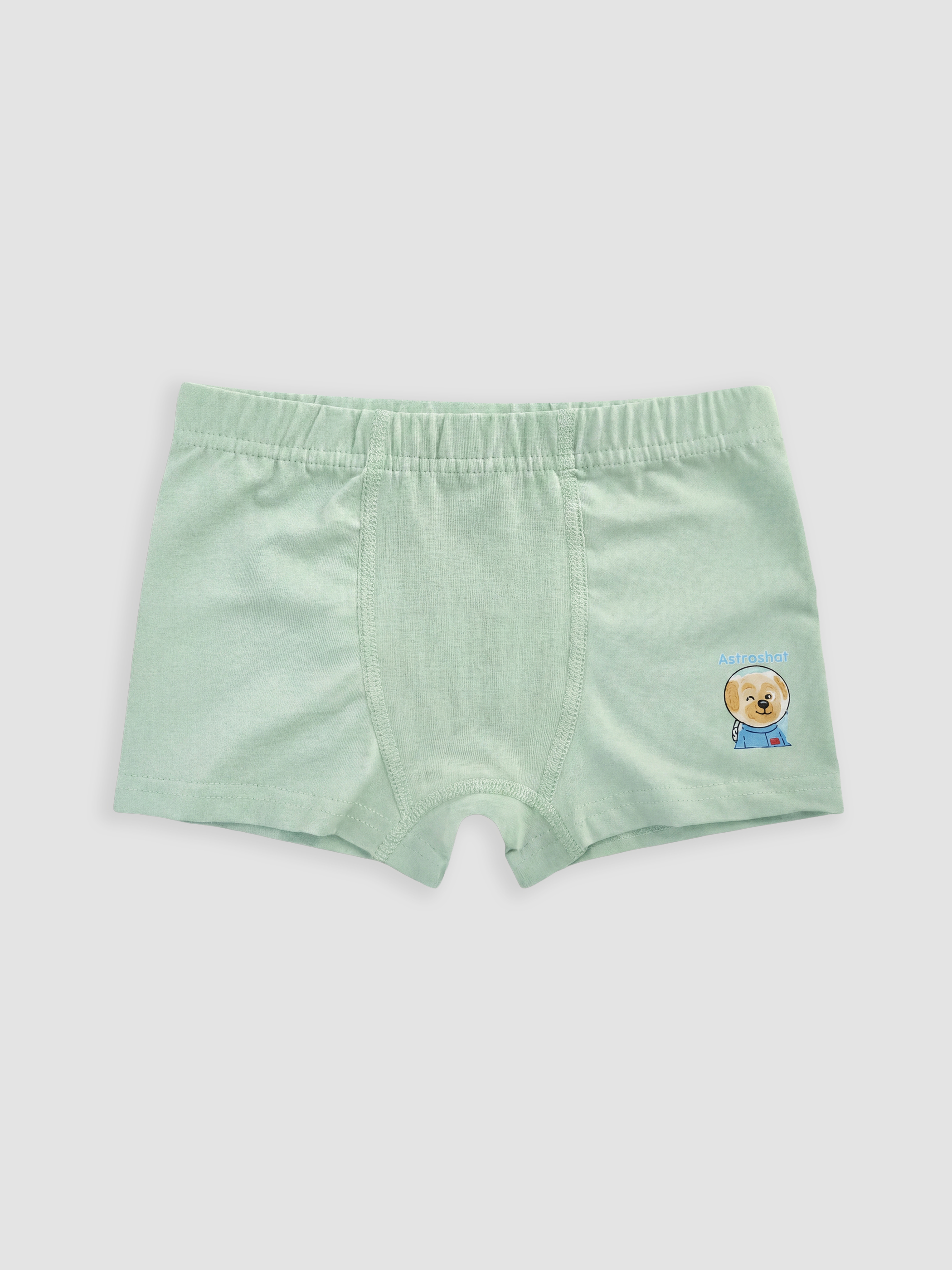 LCW Kids Nakışlı Erkek Çocuk Boxer