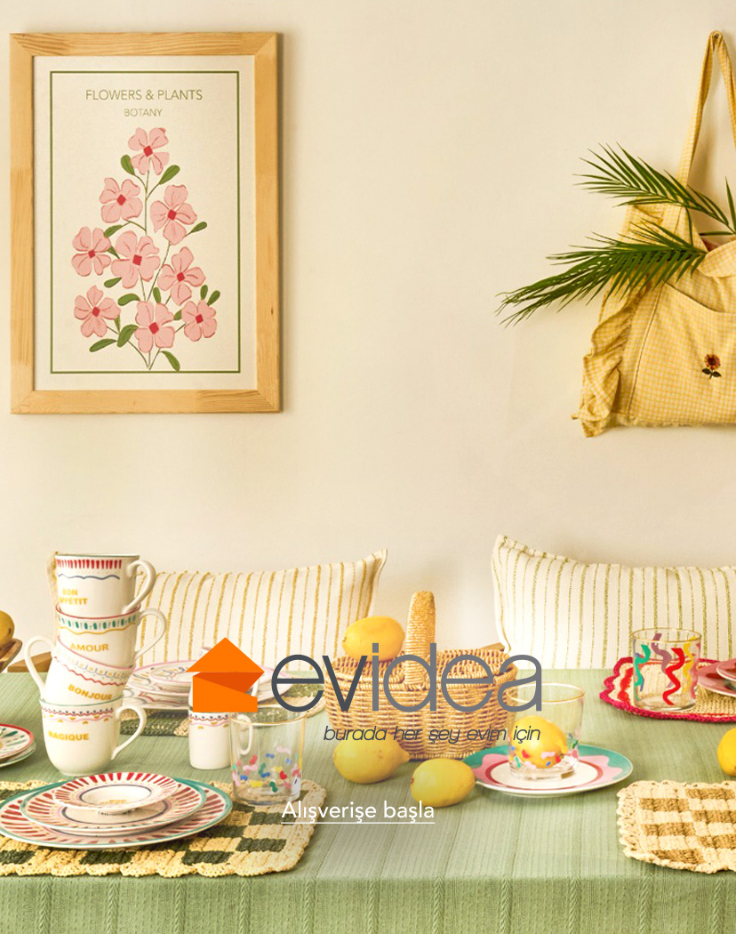 Evidea