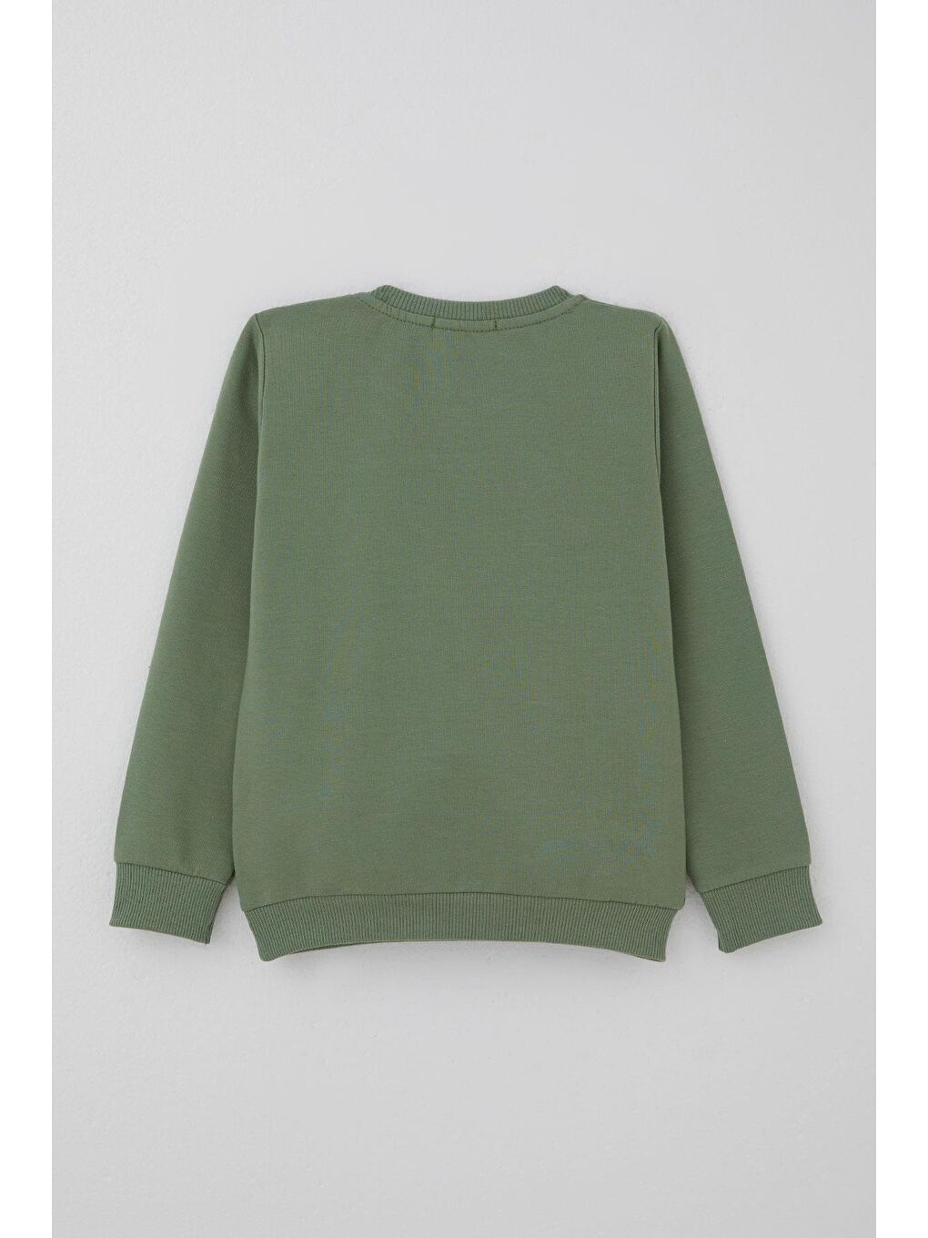 Erkek Bebek Eşofman Takımı Sevimli Köpekçik Nakışlı Kanguru Cepli Mint Yeşili (9 Ay-3 Yaş)-3