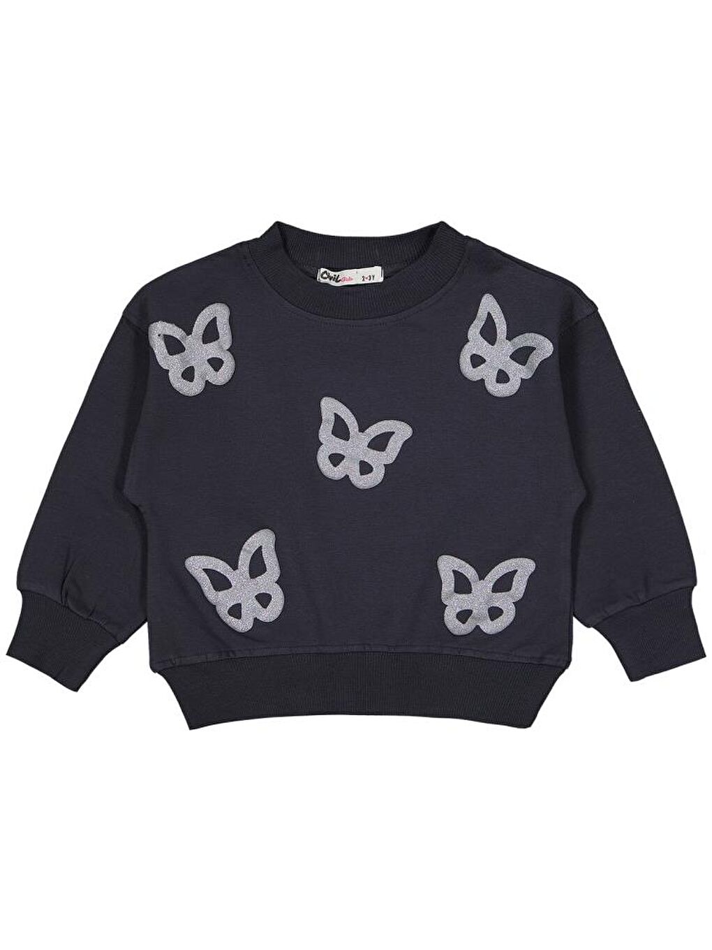 Antrasit Girls Simli Kelebek Baskılı 2-5 Yaş Takım - Gri 4-5 Yaş