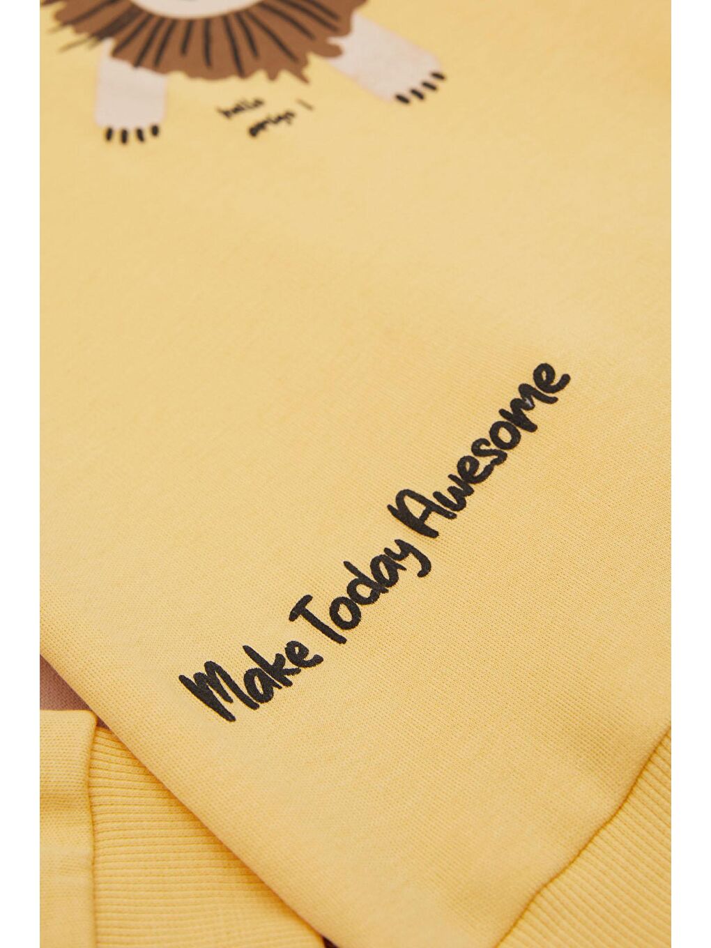 Sarı Aslan Baskılı Yazılı Erkek Bebek Takımı 17396-2